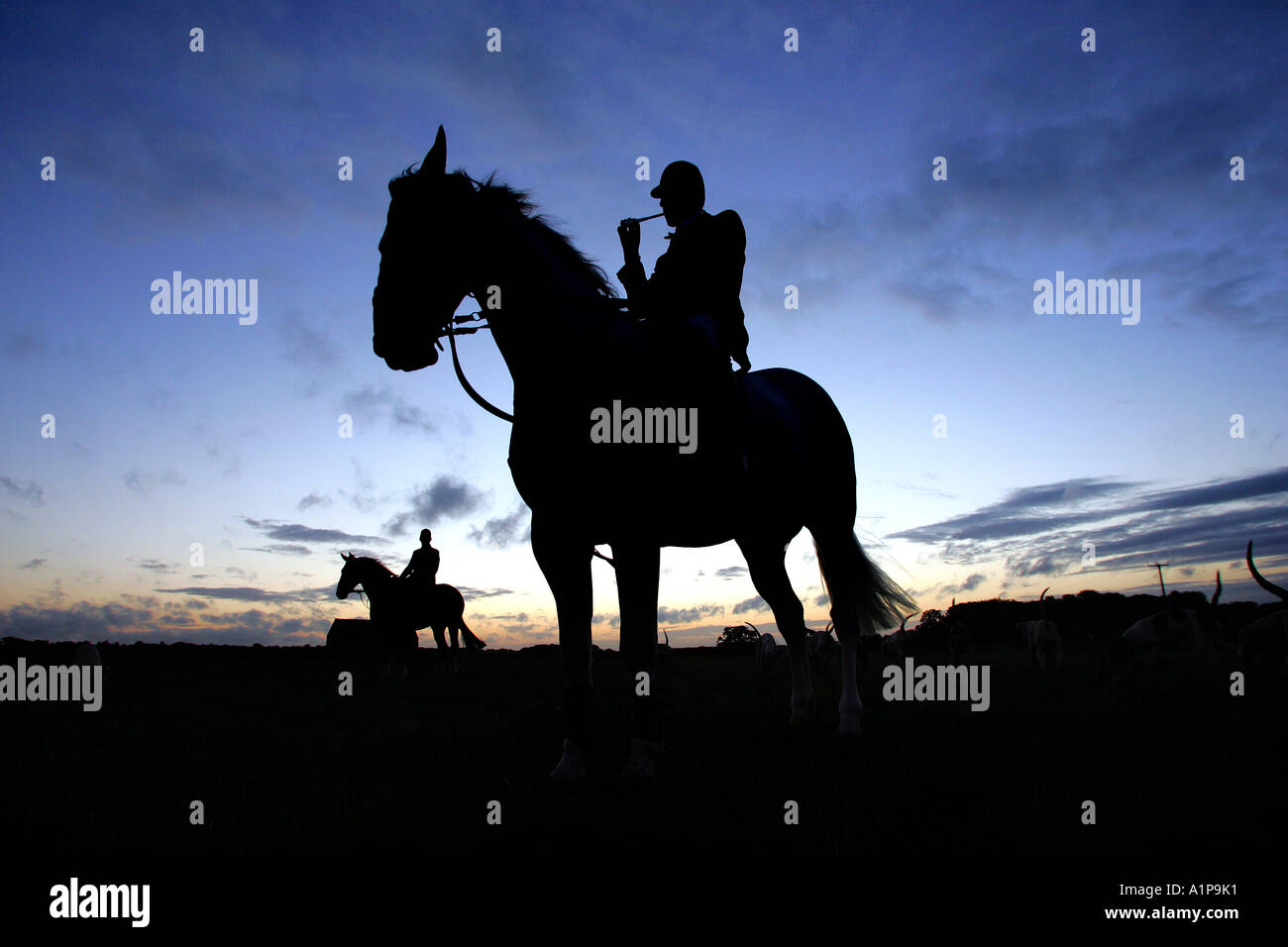 Silhouette di cacciatori di suonare il clacson per segnalare l'inizio di un alba hunt in Gloucester Regno Unito Foto Stock