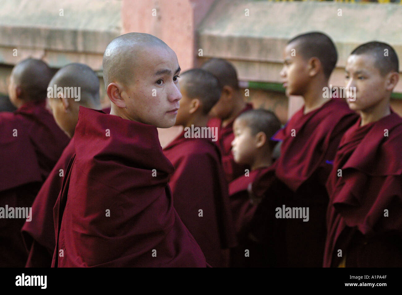 I giovani monaci tibetani si sono riuniti presso il tempio di Mahabodhi a Bodhgaya, in Bihar in India Foto Stock