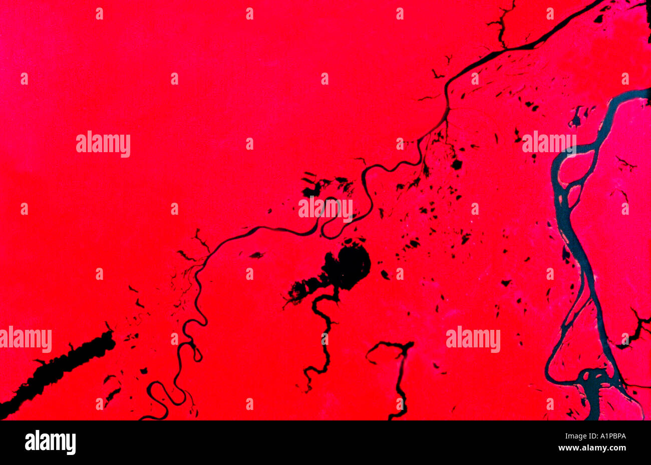 Immagine a infrarossi di Amazon dallo spazio Foto Stock