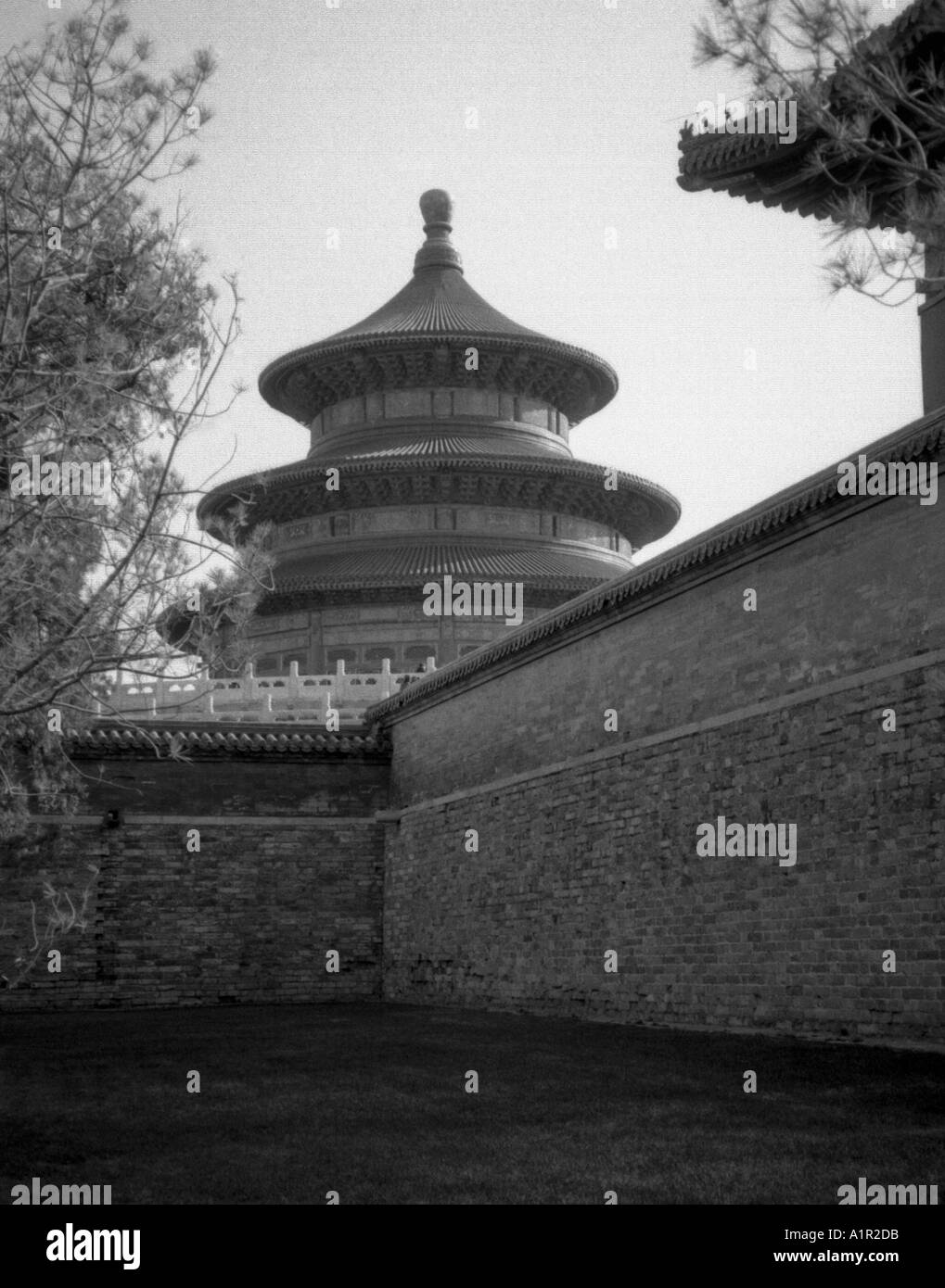 La sala di preghiera per i buoni raccolti Tempio del Cielo del Patrimonio Mondiale UNESCO Pechino Pechino cinese Cina Asia Asia asiatica Foto Stock
