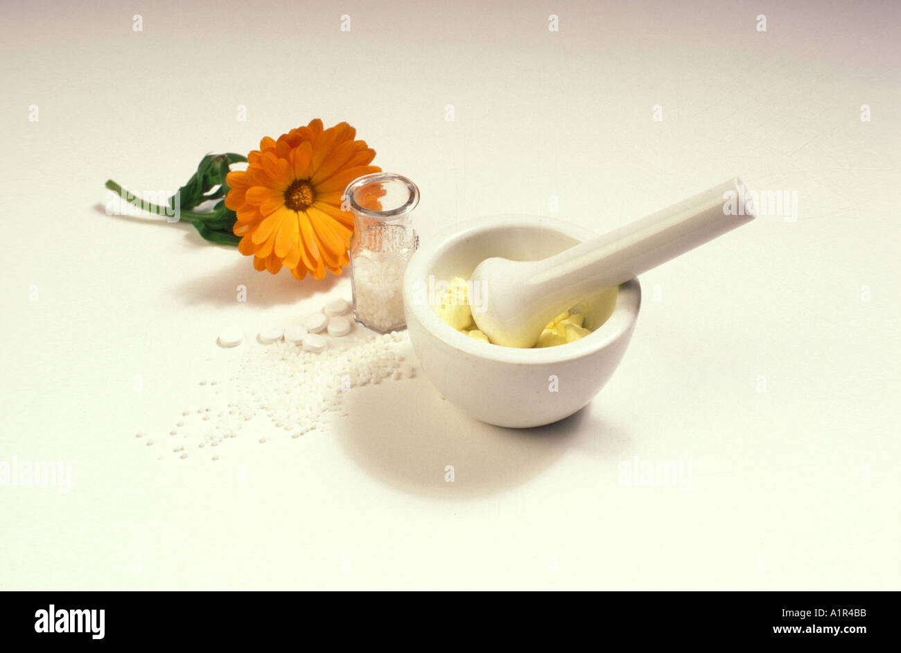 Fiore e mortaio Foto Stock