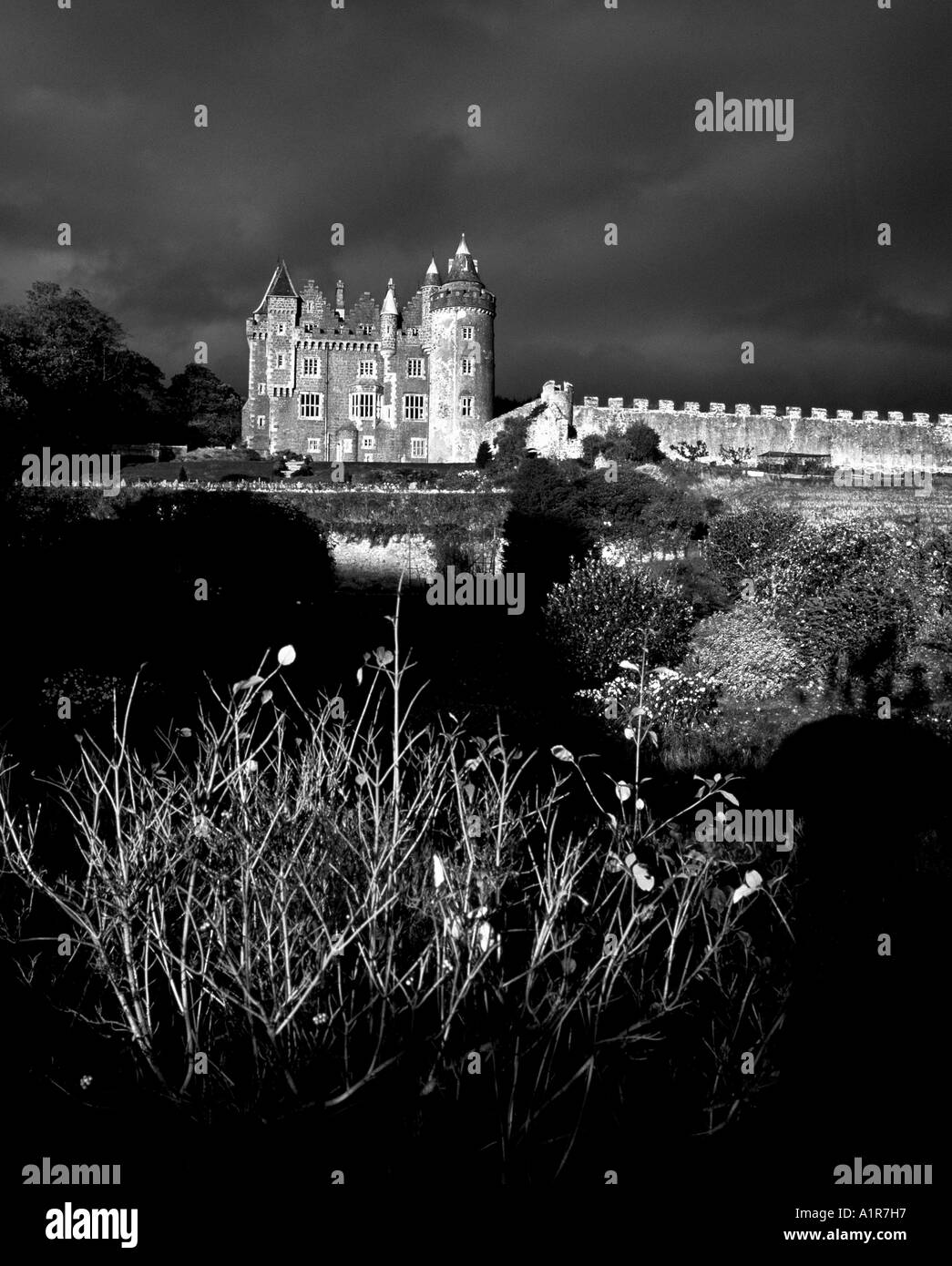 Il castello di Killyleagh, County Down, Irlanda del Nord Foto Stock