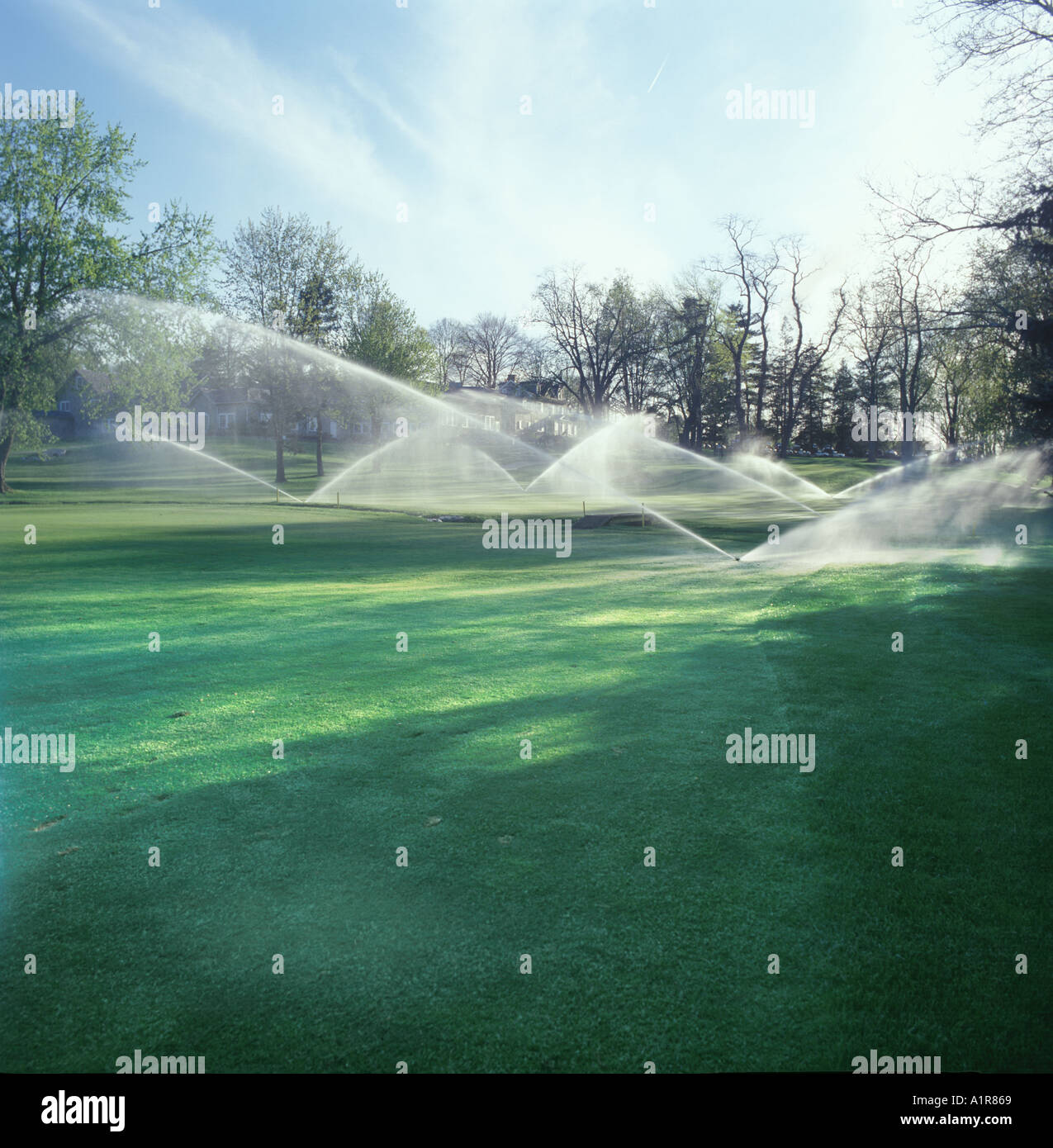 Campo da Golf di sprinkler Foto Stock