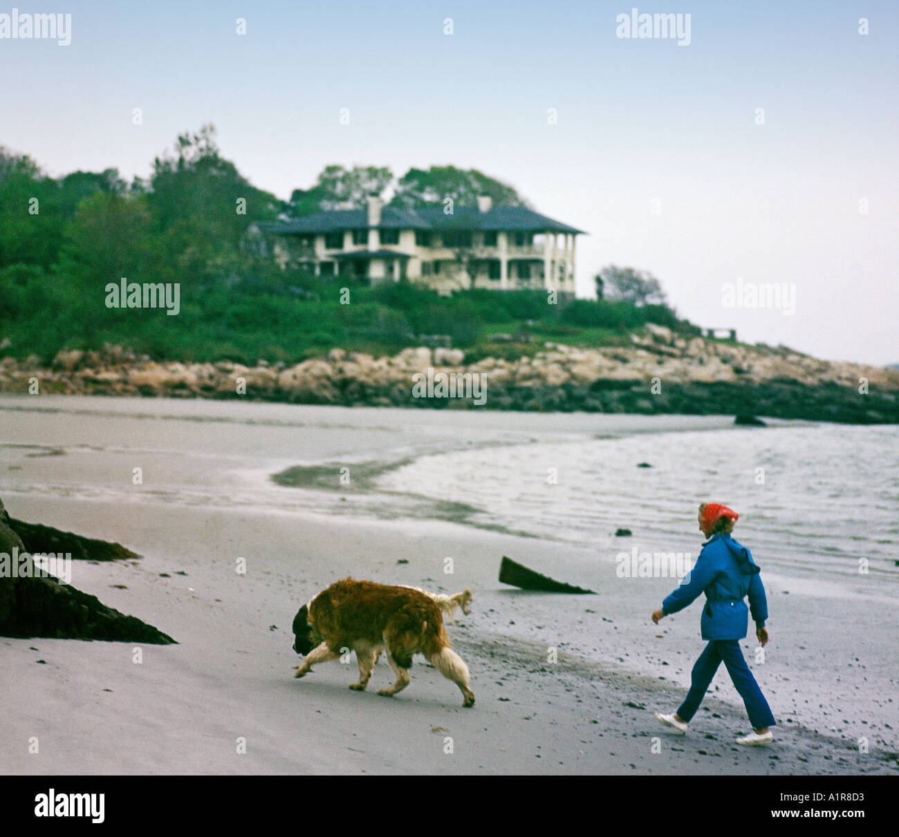 Donna matura a piedi il suo cane sulla spiaggia Foto Stock