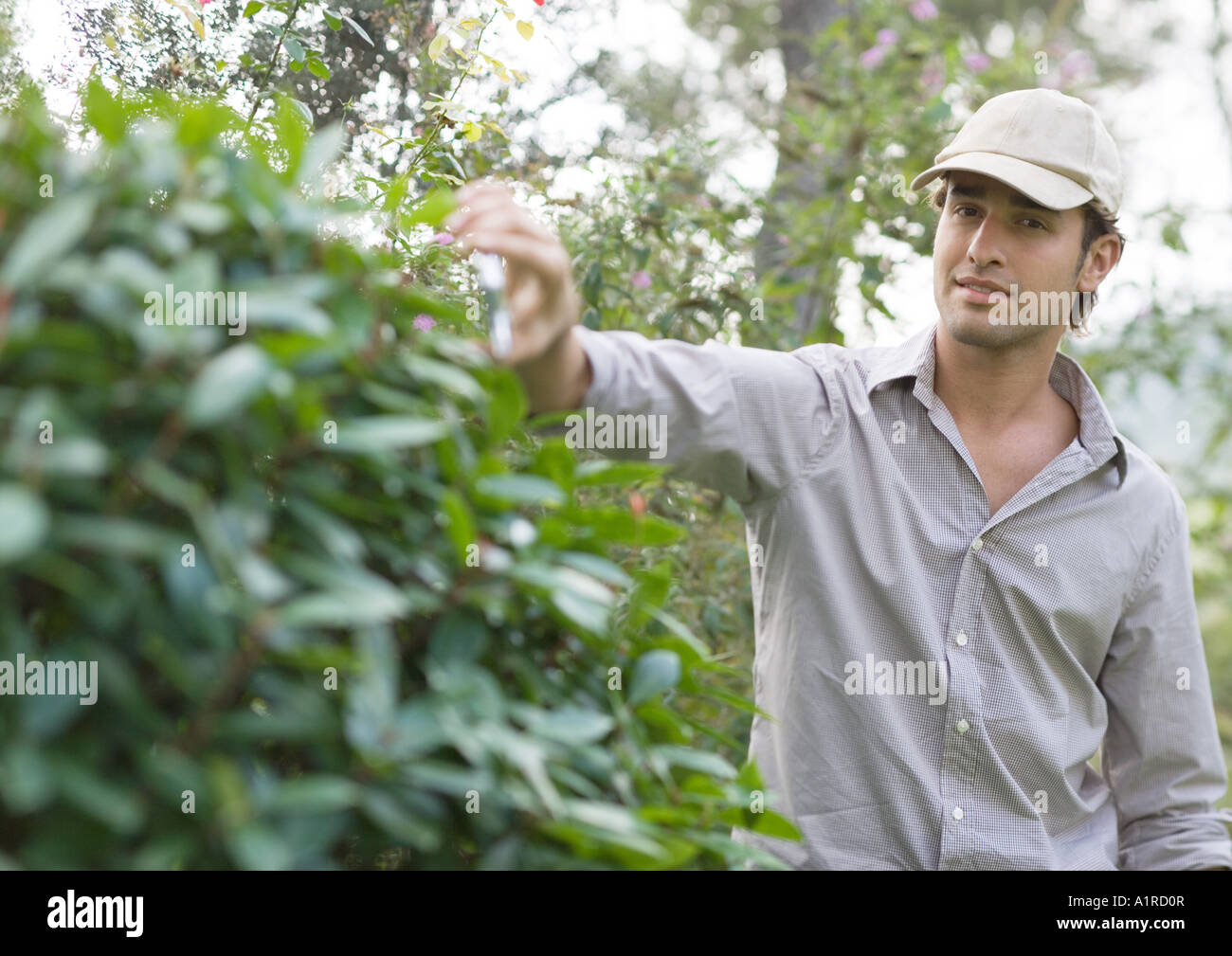 L'uomo facendo yardwork Foto Stock