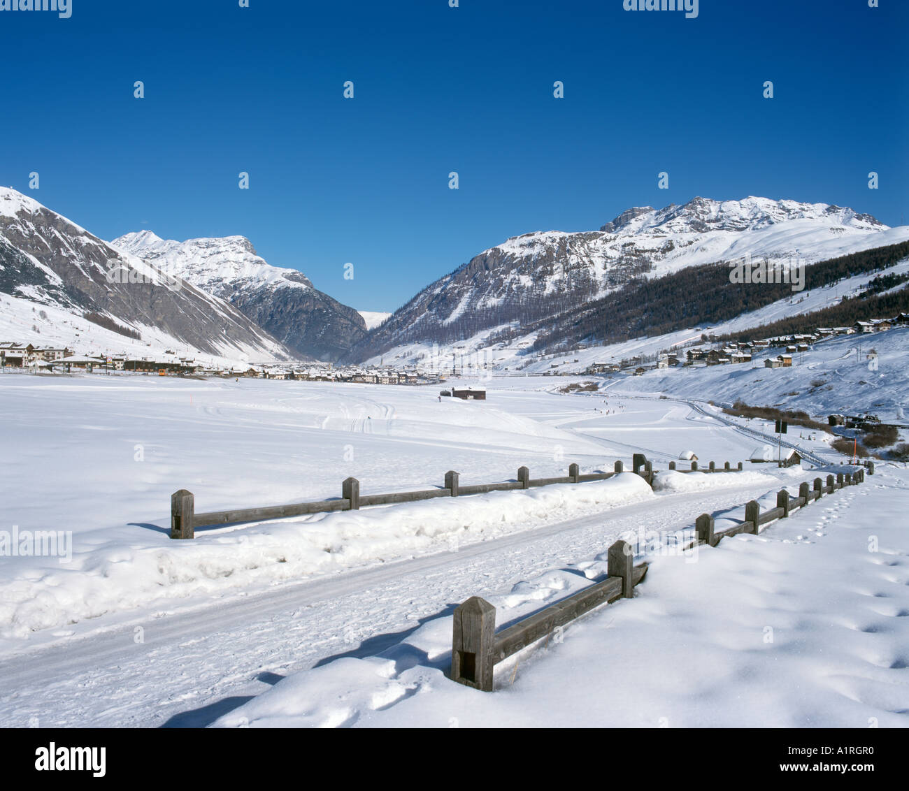 Area sci di fondo, Livigno, Alpi Italiane, Italia Foto Stock