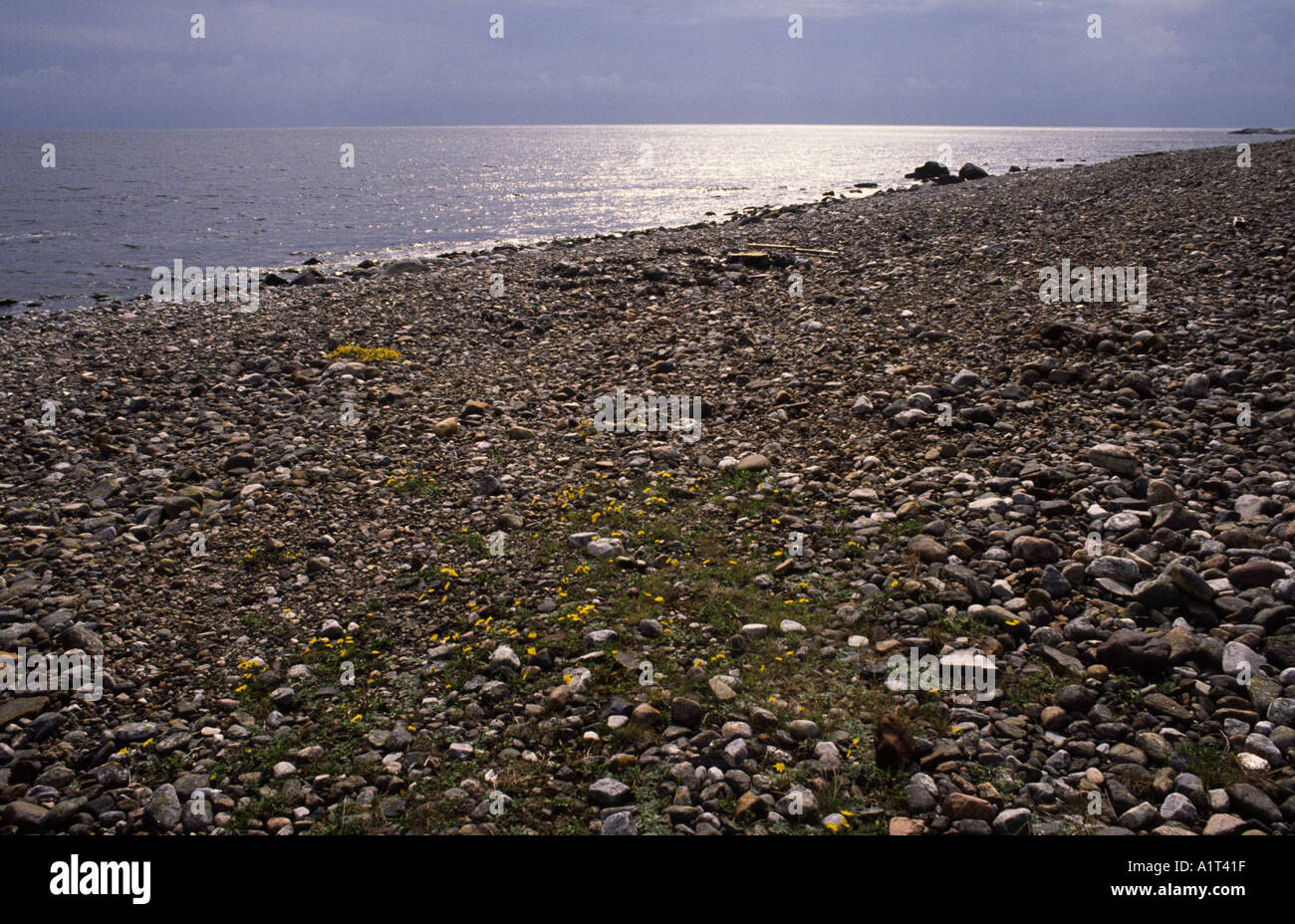 Roccia di rotolamento sulla spiaggia di Jomfruland sud della Norvegia Foto Stock