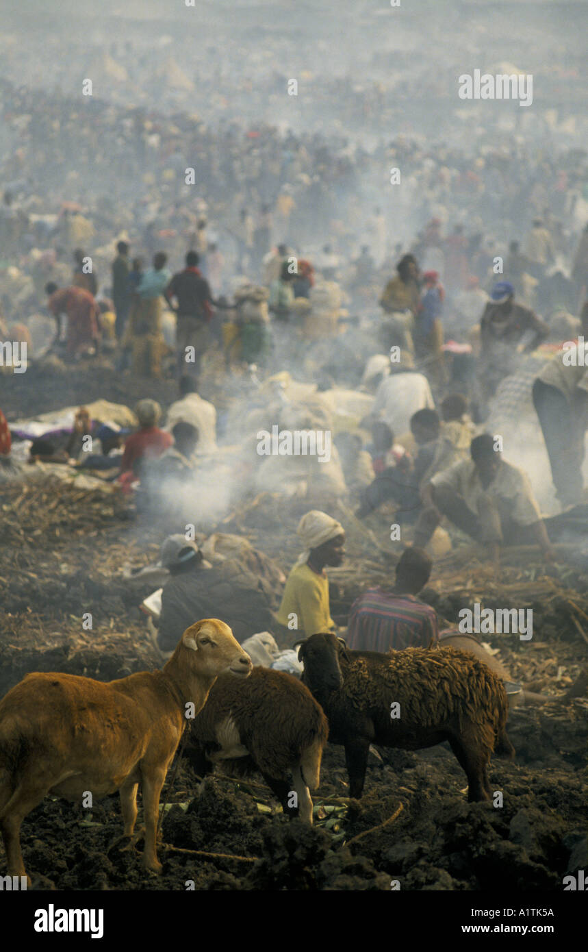 GOMA DELLO ZAIRE KIBUMBA Refugee Camp luglio 1994 VISTA DEL CAMP con ovini e il fumo degli incendi Foto Stock