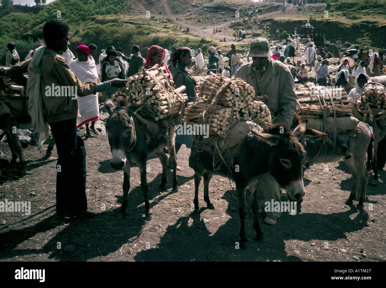 Gli uomini il caricamento di asini, Mercato di Addis Abeba in Etiopia Foto Stock