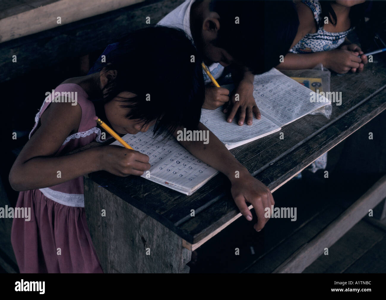 I bambini seduti alla scrivania, la pratica di scrivere lettere,SCUOLA PRIMARIA AMAZONIA PANAILLO PERÙ Foto Stock