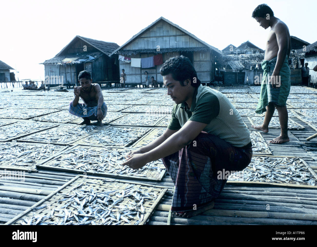 Pesce di essiccazione a Jolo FILIPPINE Foto Stock