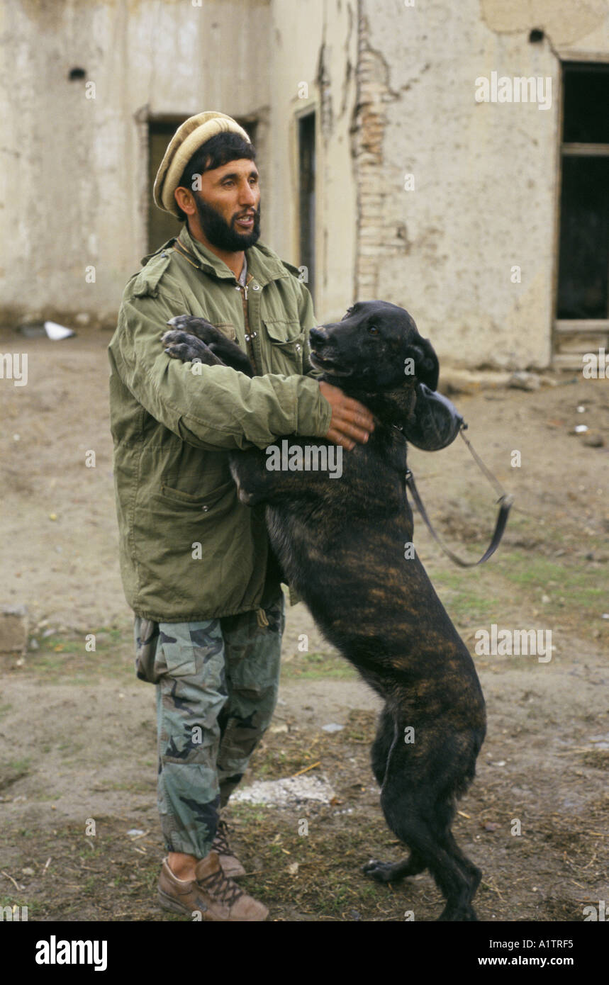 Mine IN AFGHANISTAN 3 96 il rilevamento delle mine centro cinofilo KABUL 1996.cane con il gestore Foto Stock