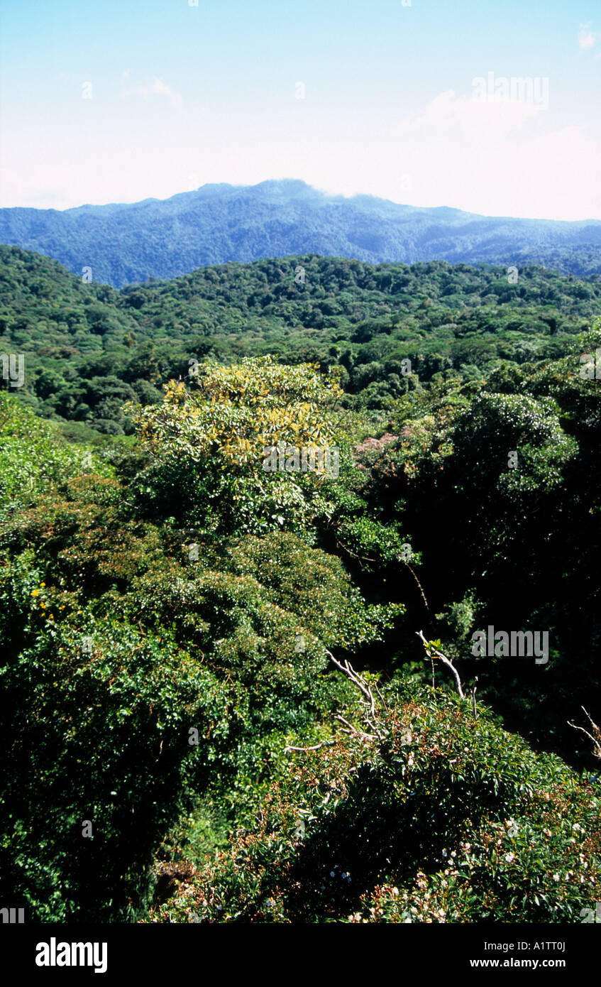 Monteverde Cloud Forest, Costa Rica Foto Stock