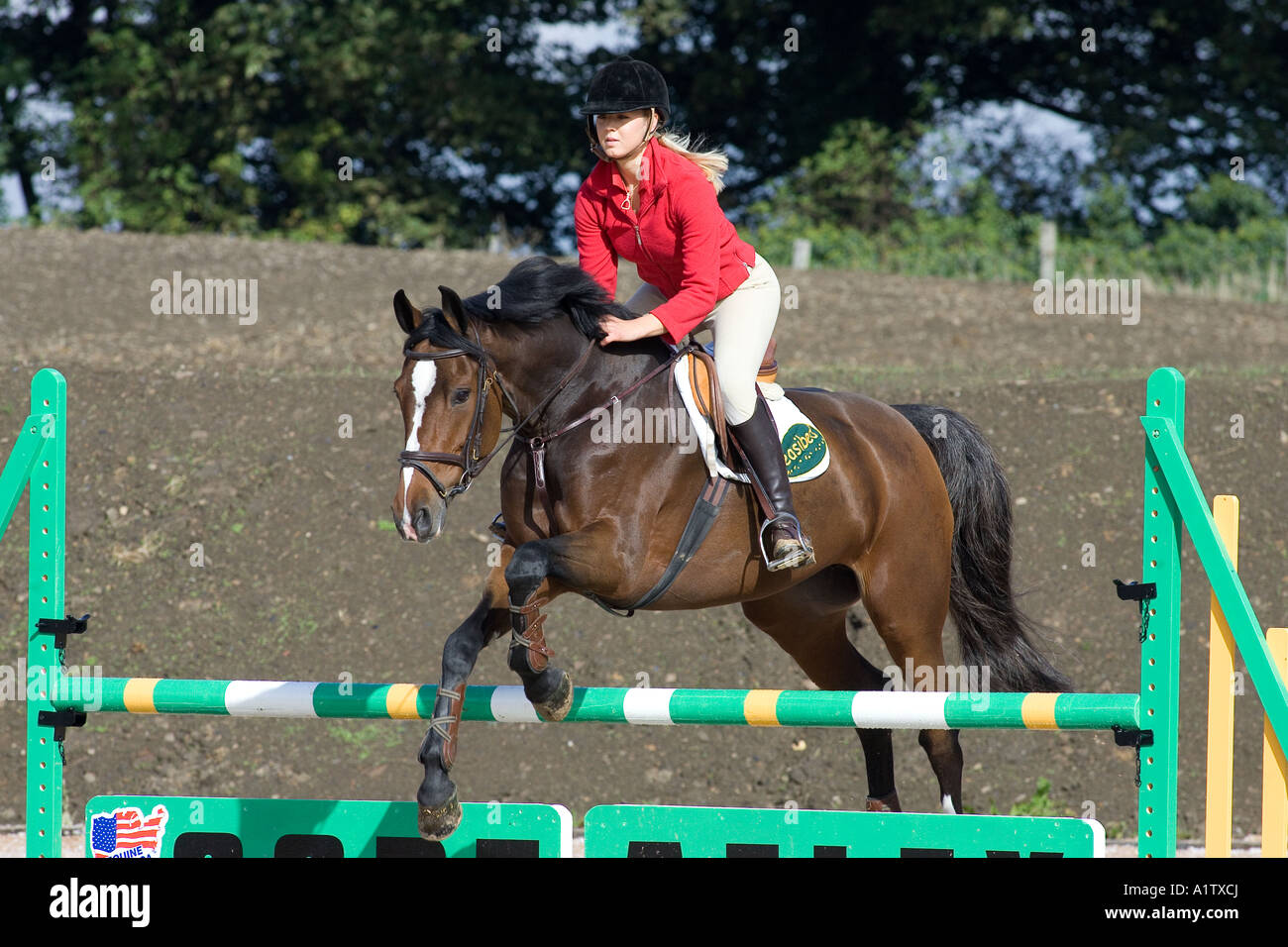 Visualizza il ponticello Ellen Whitaker showjumper e pilota equestre Foto Stock