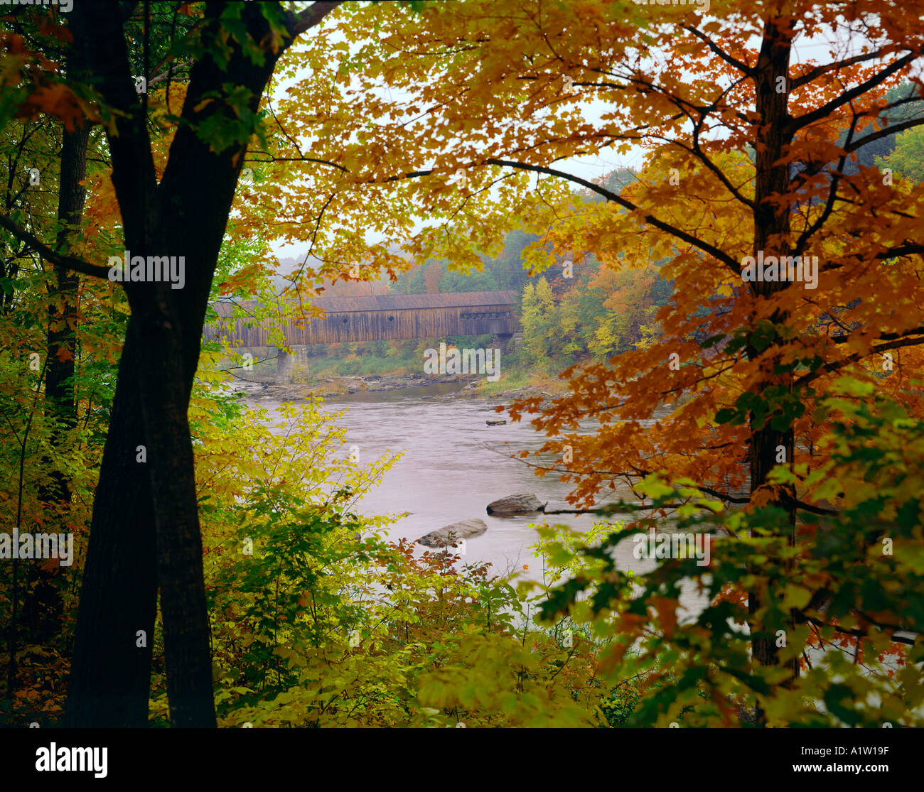 Ponte coperto e caduta delle foglie nel Vermont USA New England Foto Stock