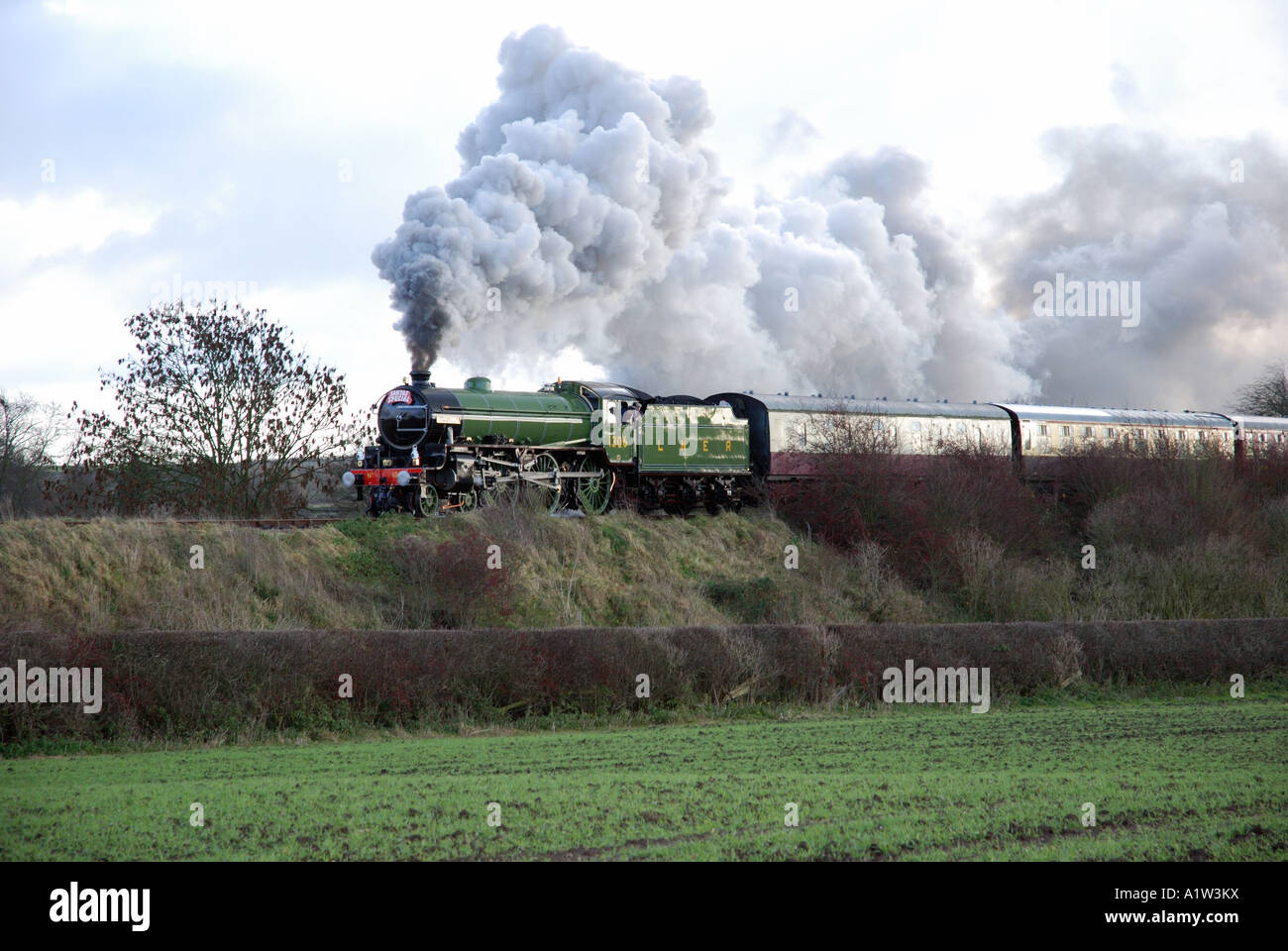 LNER B 1 classe locomotiva a vapore MAYFLOWER tirando un Babbo Natale speciale treno in corrispondenza della linea di campo di battaglia, Leicestershire, England, Regno Unito Foto Stock