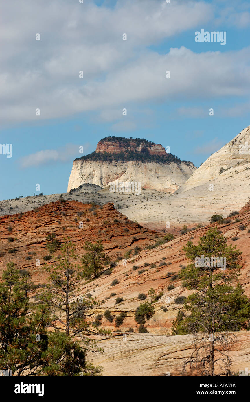 Picco di bianco e rosso colline Zion National Park nello Utah Stati Uniti d'America Foto Stock