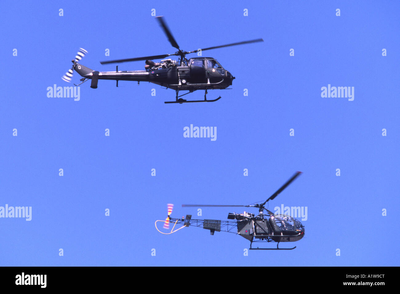 Westland Scout AH-1 & Sud Alouette AH2 azionato dall'esercito britannico storico volo di aeromobili. Foto Stock