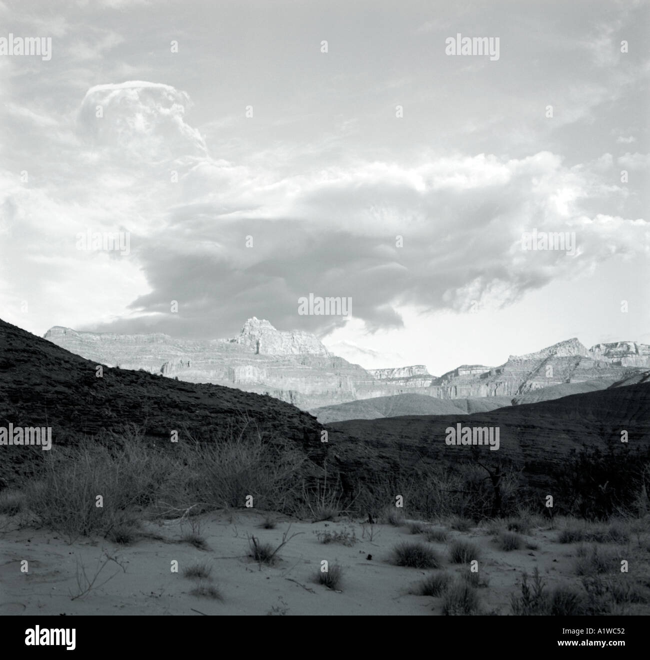 Nuvole e le formazioni rocciose del Grand Canyon Foto Stock