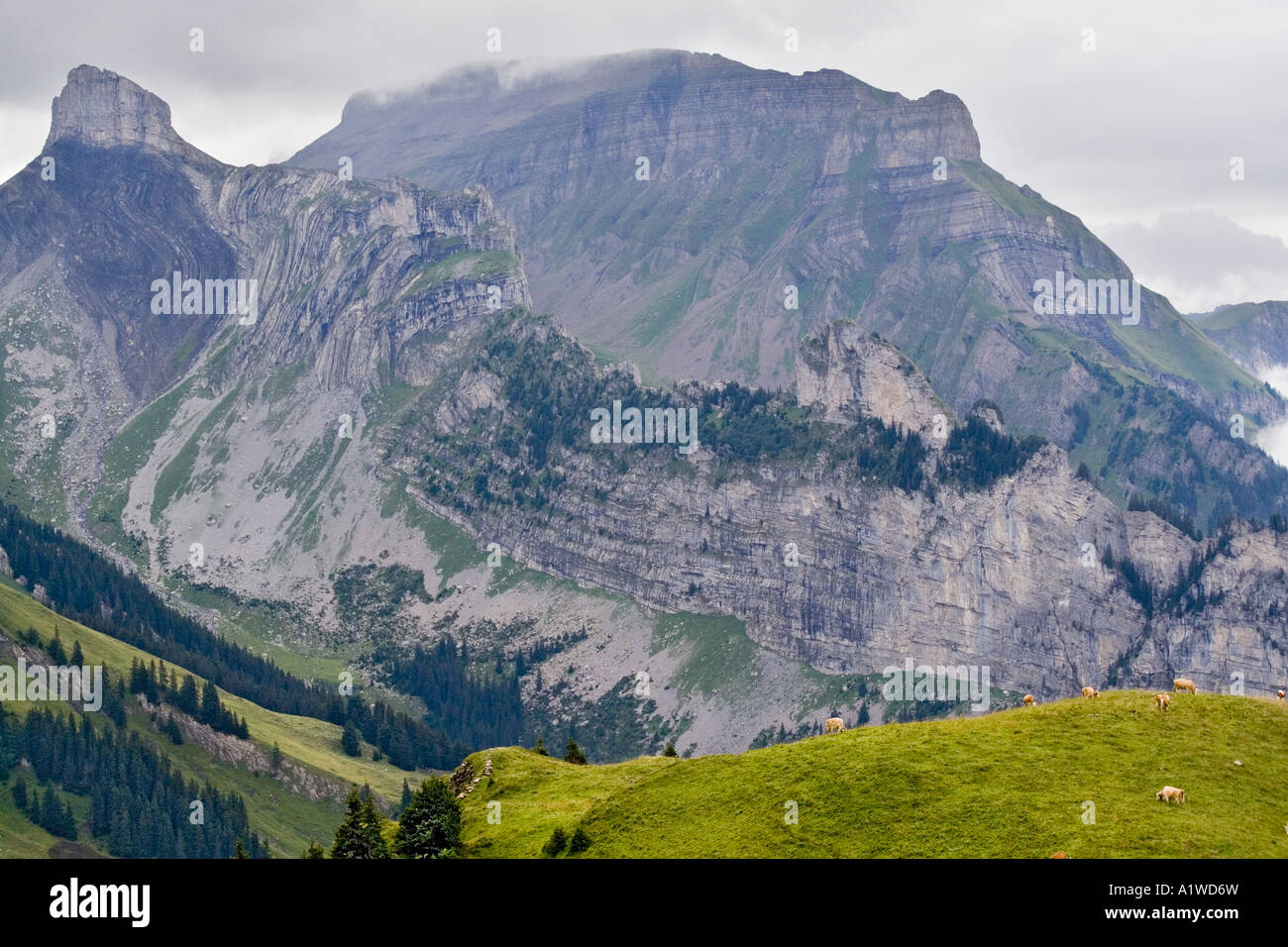 Da Schynige Platte Oberland Bernese svizzera Foto Stock