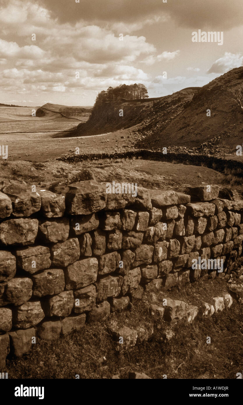 Una sezione di parete di Adriano nella contea di Northumberland,guardando verso la fortificazione nota come Housesteads. Foto Stock