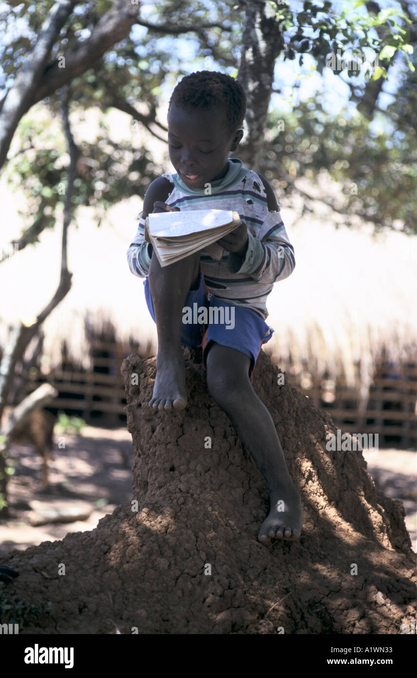 Biddi Biddi scuola Uganda un giovane bambino studiando, seduti su una formica/termite hill Foto Stock