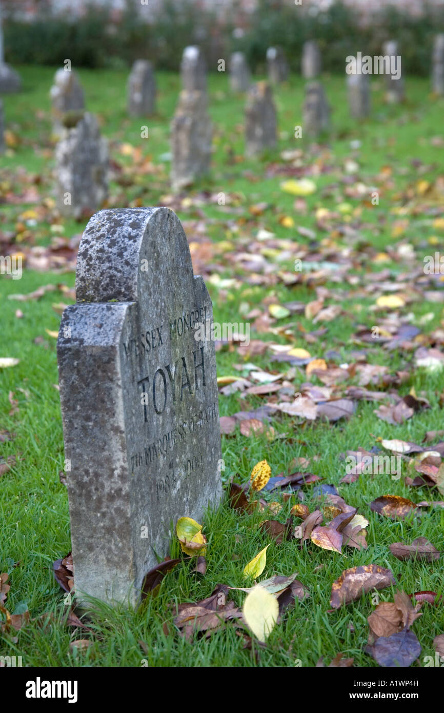 Pietra tomba in un cimitero di pet longleat Foto Stock