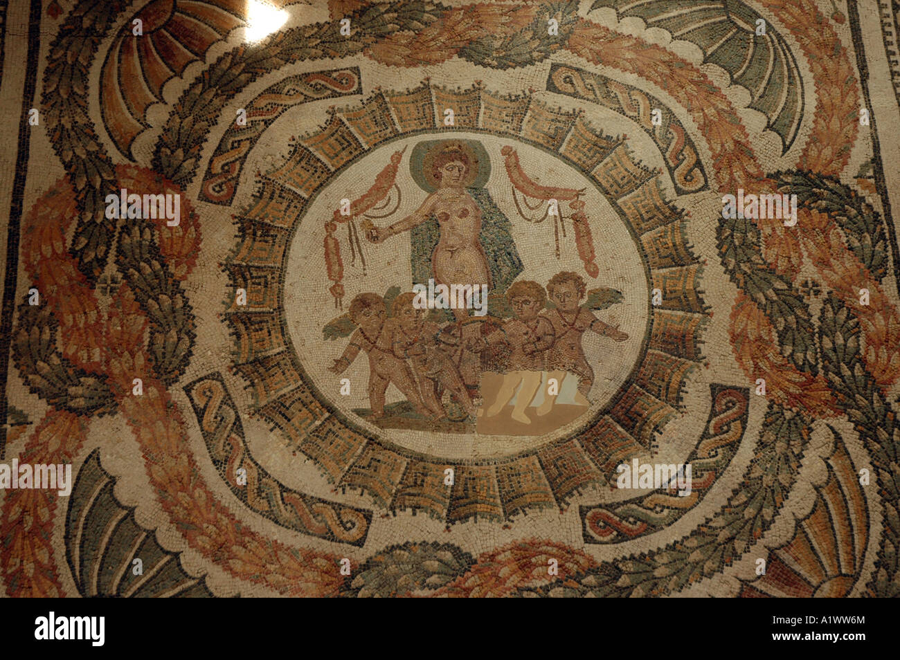 Dea Venere su un carro trainato da amorini sul mosaico romano nel Museo Bardo di Tunisi, capitale della Tunisia Foto Stock