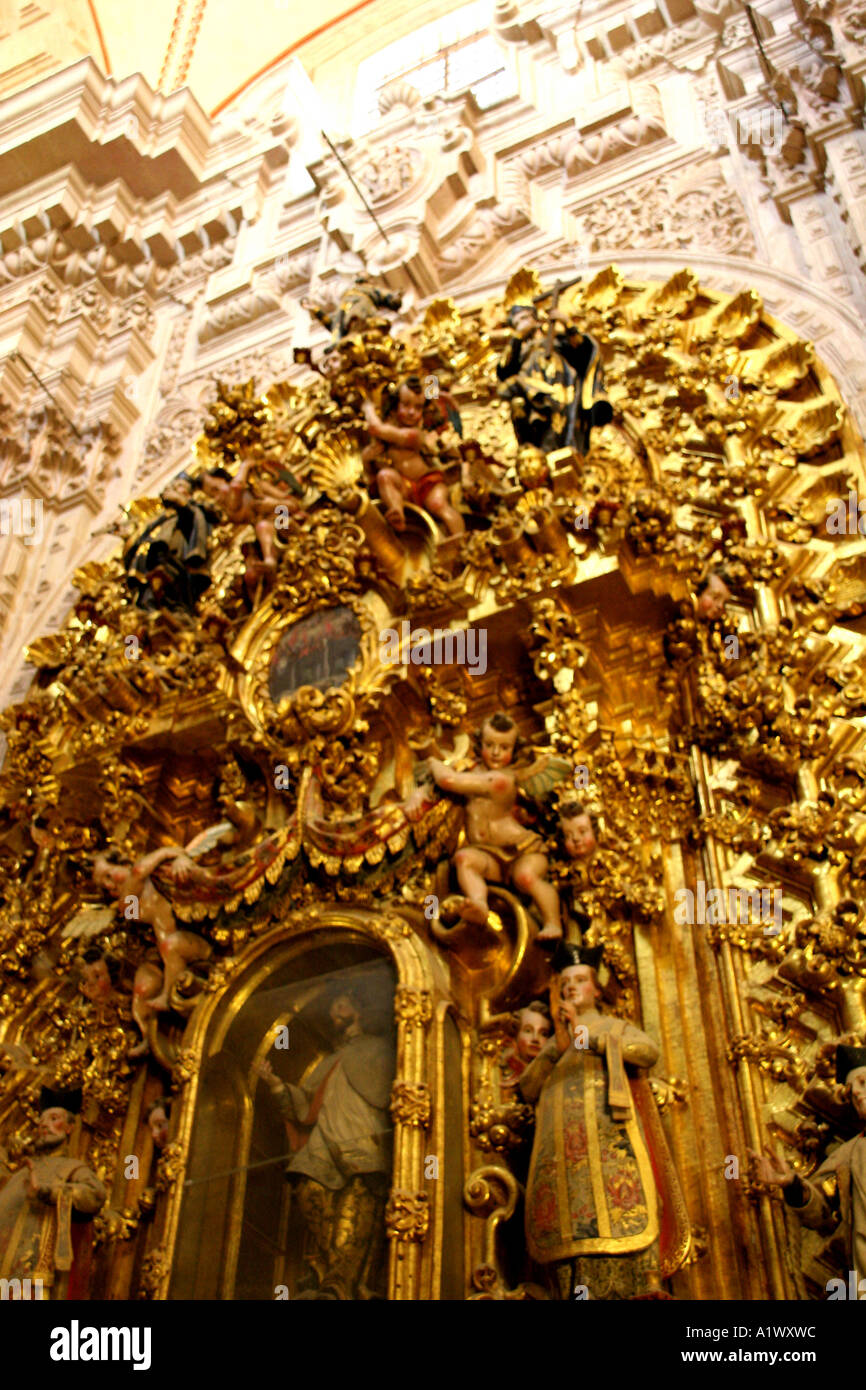 Scrofetta alterare, Santa Prisca, Taxco Messico Foto Stock