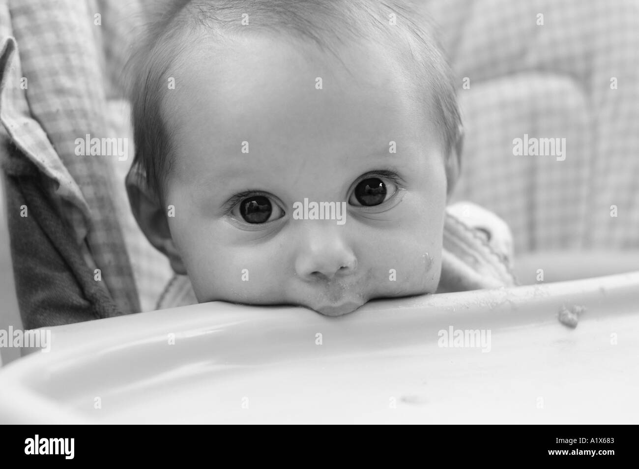 Carino baby bambina in alta sedia guardando la dentizione della fotocamera Foto Stock