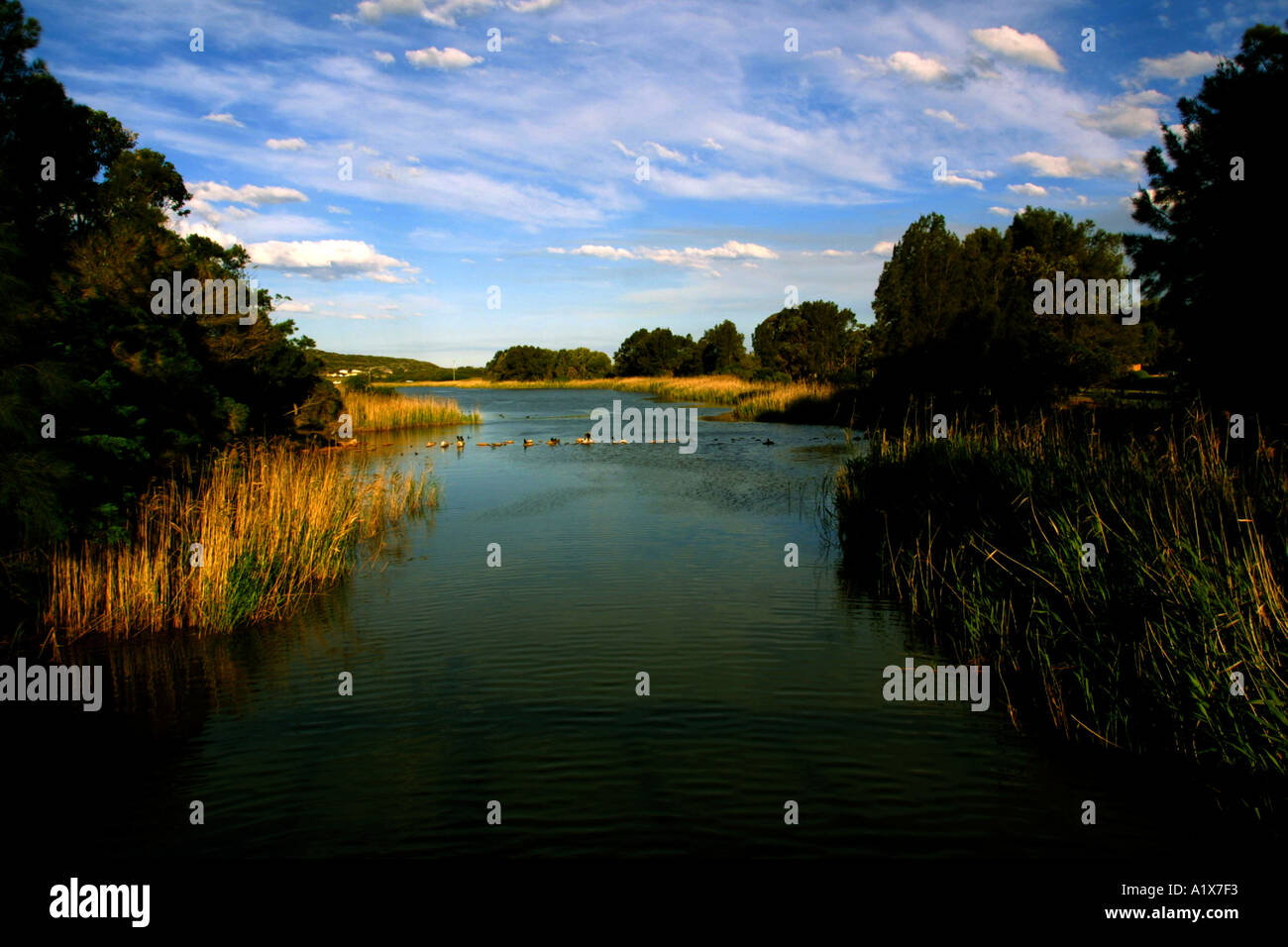 Ripristinato ambiente naturale Foto Stock