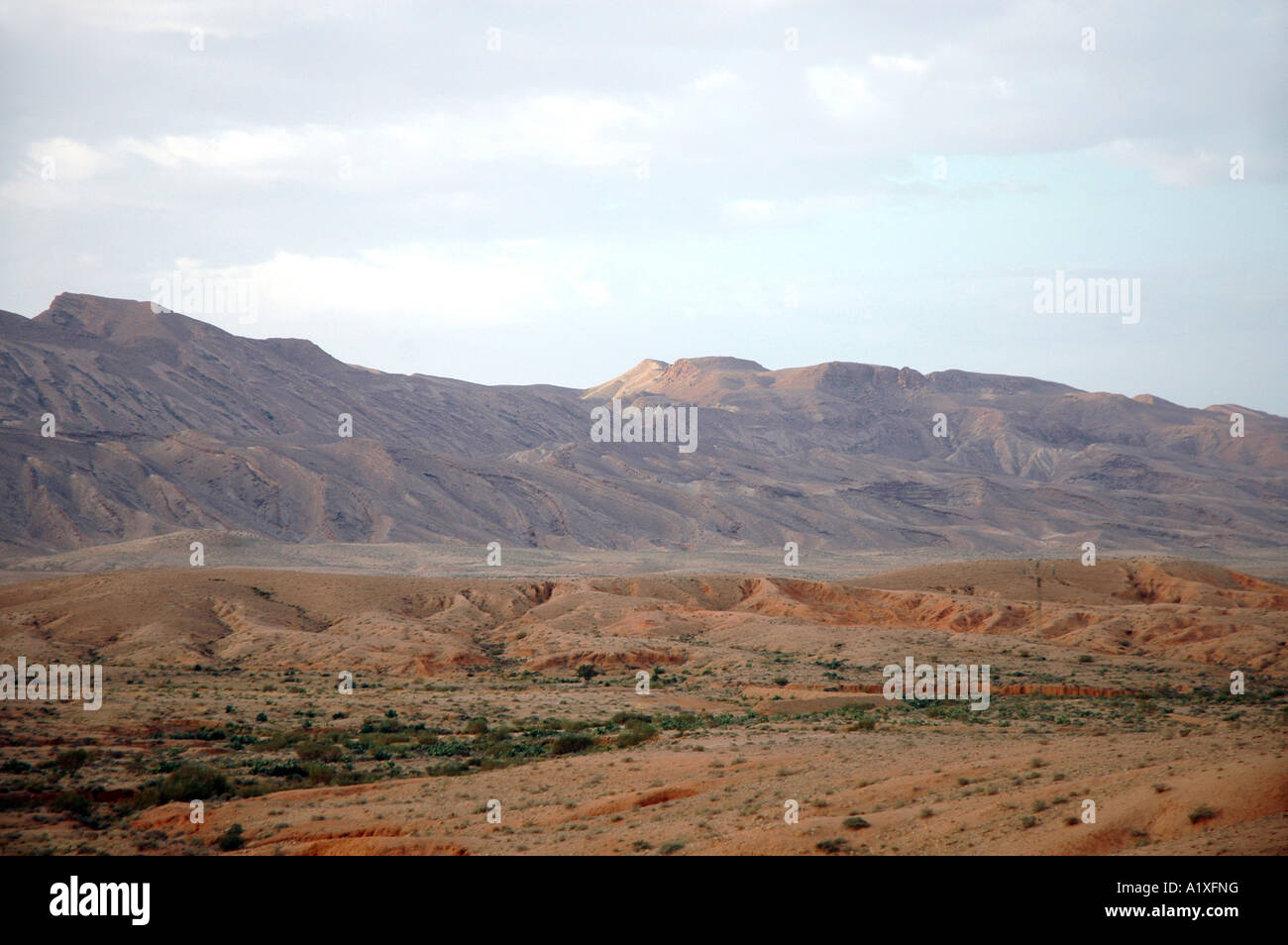 Per il modo in Tunisia Foto Stock