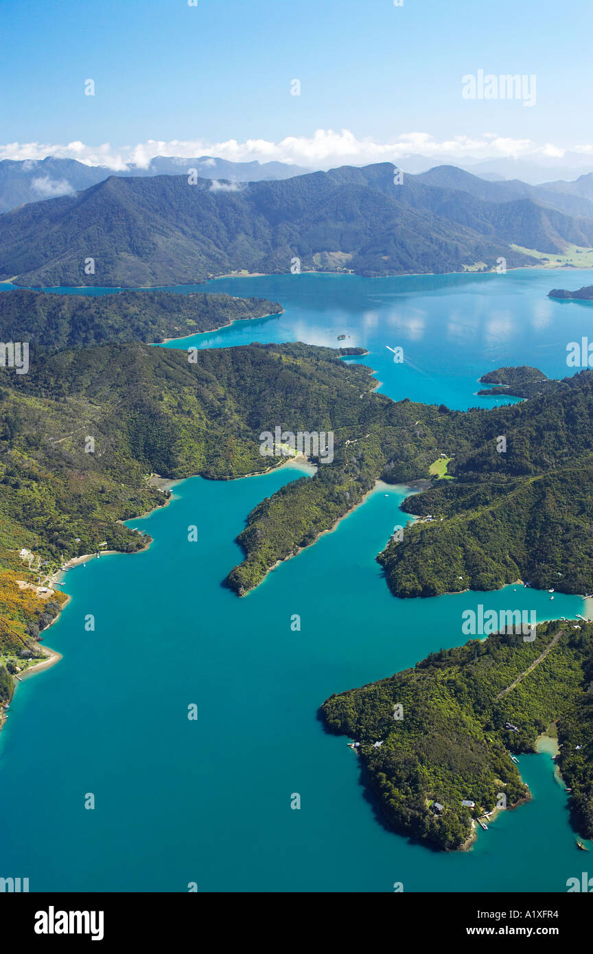 Cascata Bay L Vischio Bay R e Kenepuru Sound top Marlborough Sounds Isola del Sud della Nuova Zelanda antenna Foto Stock