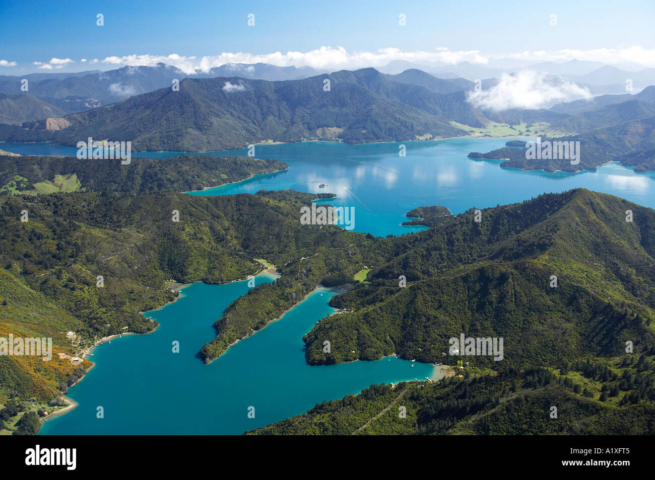 Cascata Bay L Vischio Bay R e Kenepuru Sound top Marlborough Sounds Isola del Sud della Nuova Zelanda antenna Foto Stock