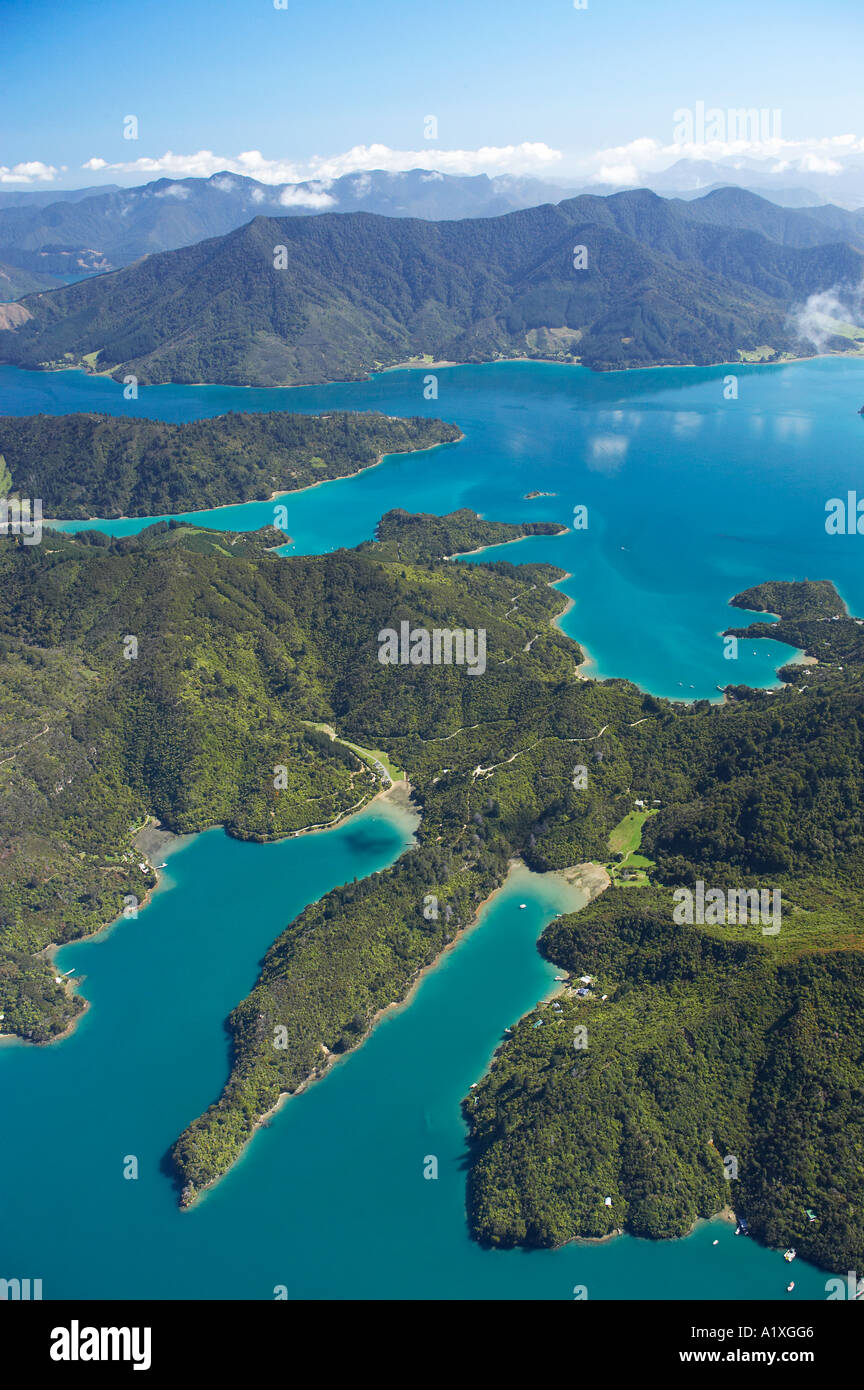 Cascata Bay L Vischio Bay R e Kenepuru Sound top Marlborough Sounds Isola del Sud della Nuova Zelanda antenna Foto Stock