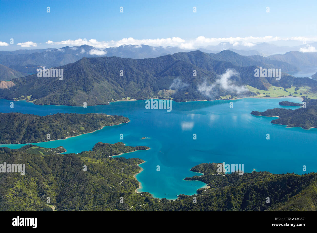 Te Mahia Bay Kenepuru Sound Marlborough Sounds Isola del Sud della Nuova Zelanda antenna Foto Stock
