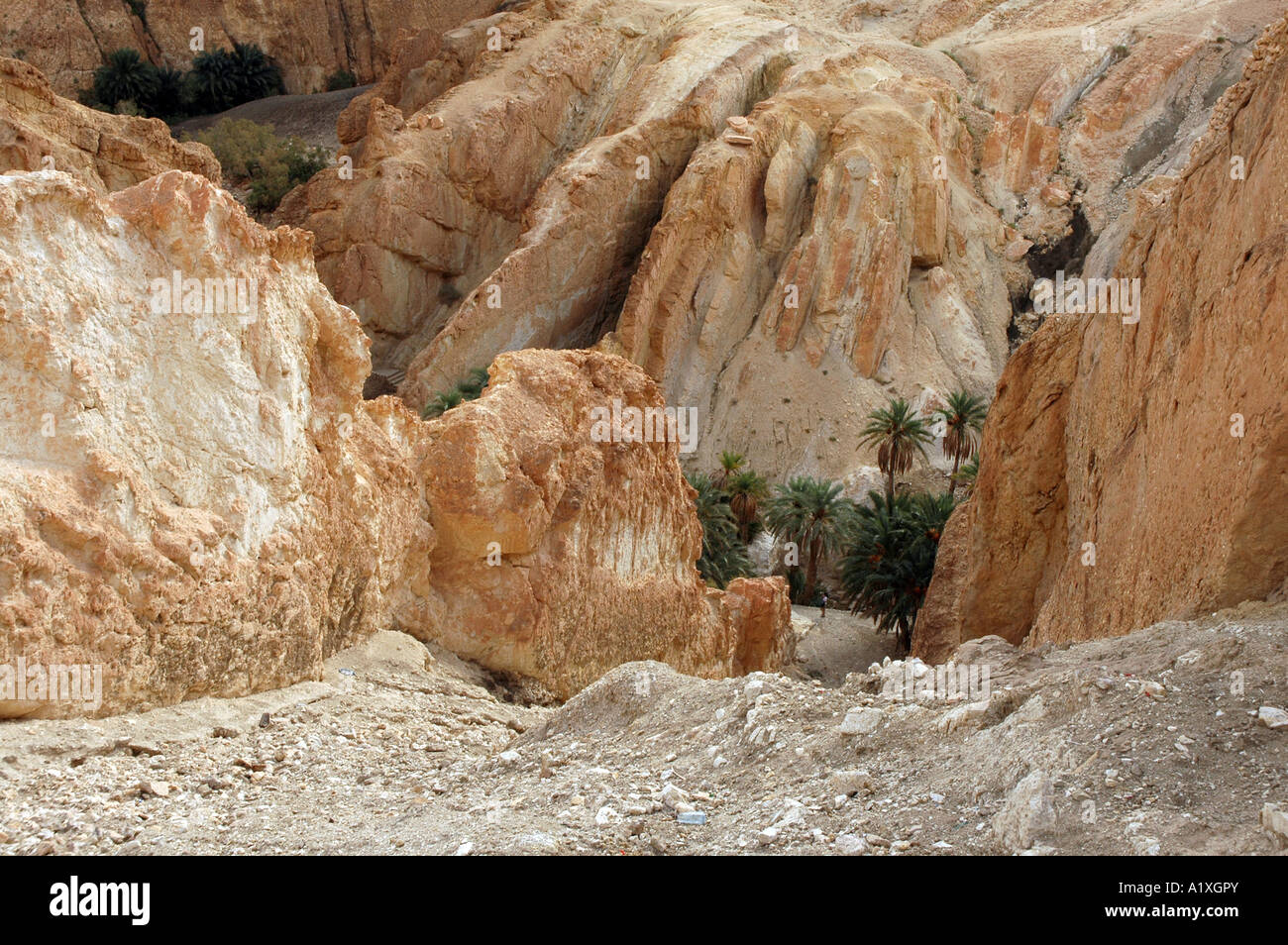 Vista su Chebika oasi nel Atlante Sahariano montagne, Tunisia Foto Stock