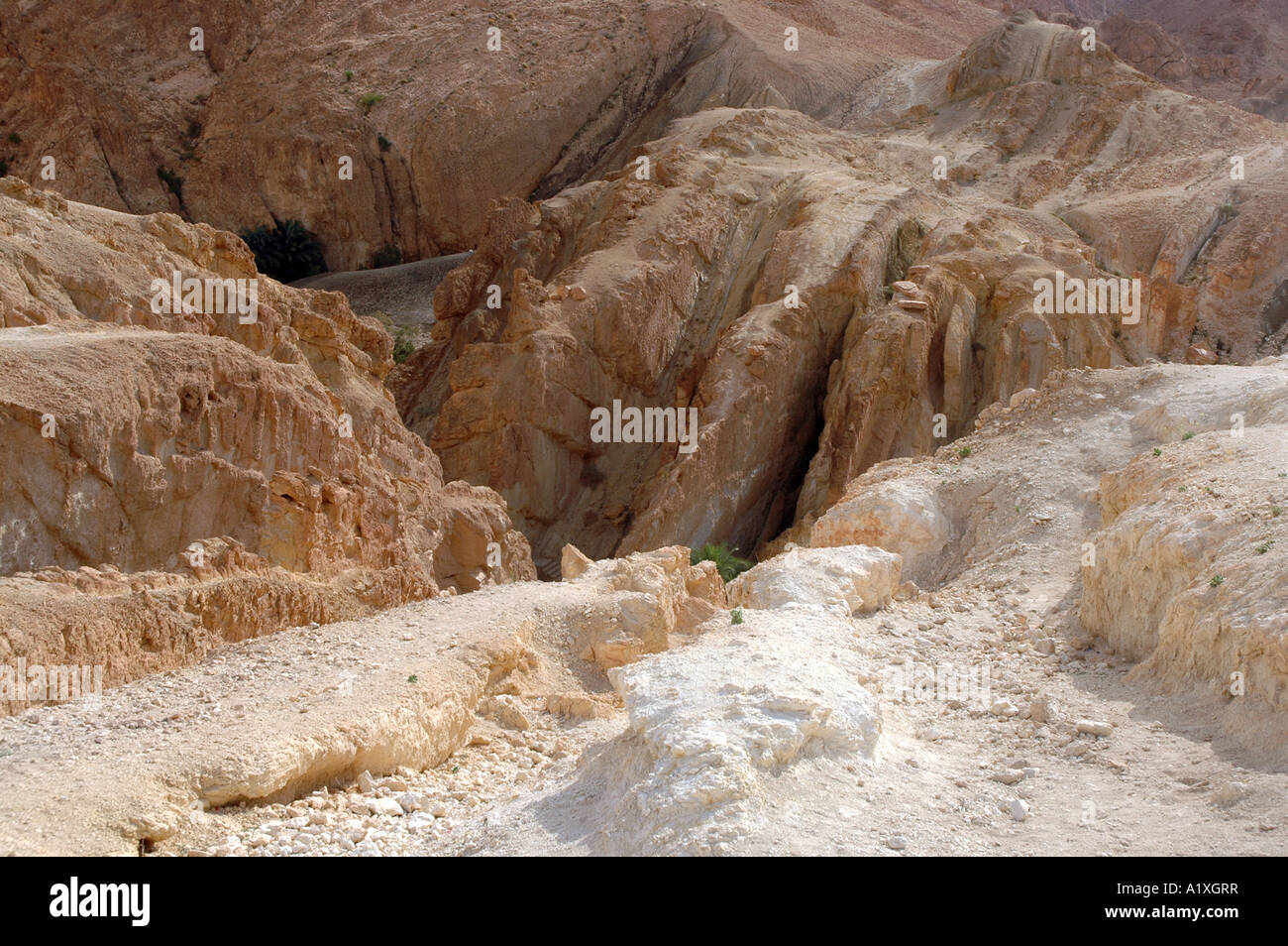 Vista su Chebika oasi nel Atlante Sahariano montagne, Tunisia Foto Stock