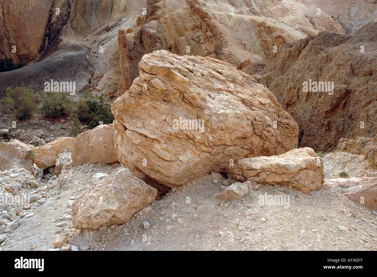 Rocce Chebika oasi nel Atlante Sahariano montagne, Tunisia Foto Stock