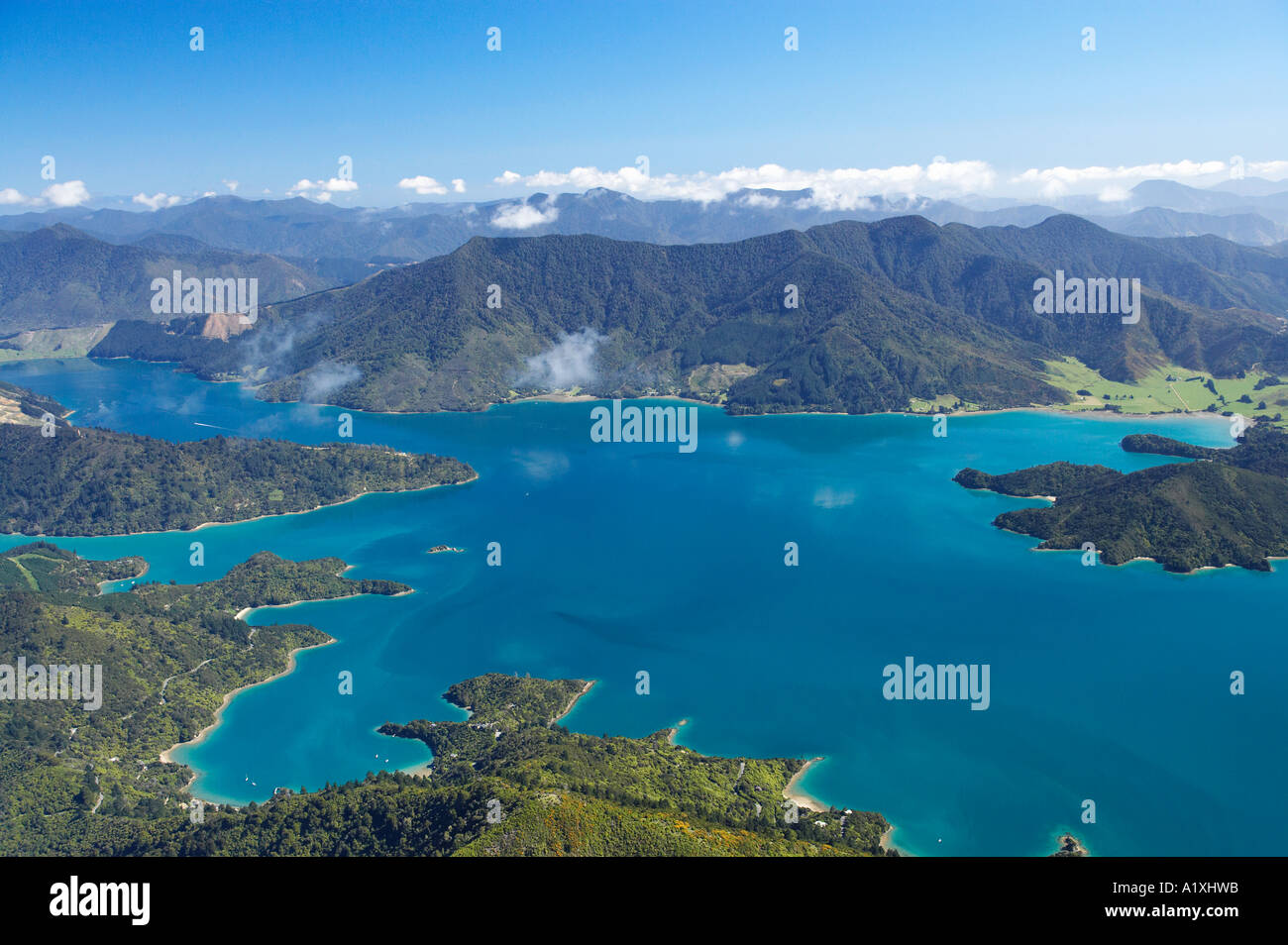 Te Mahia Bay Kenepuru Sound Marlborough Sounds Isola del Sud della Nuova Zelanda antenna Foto Stock
