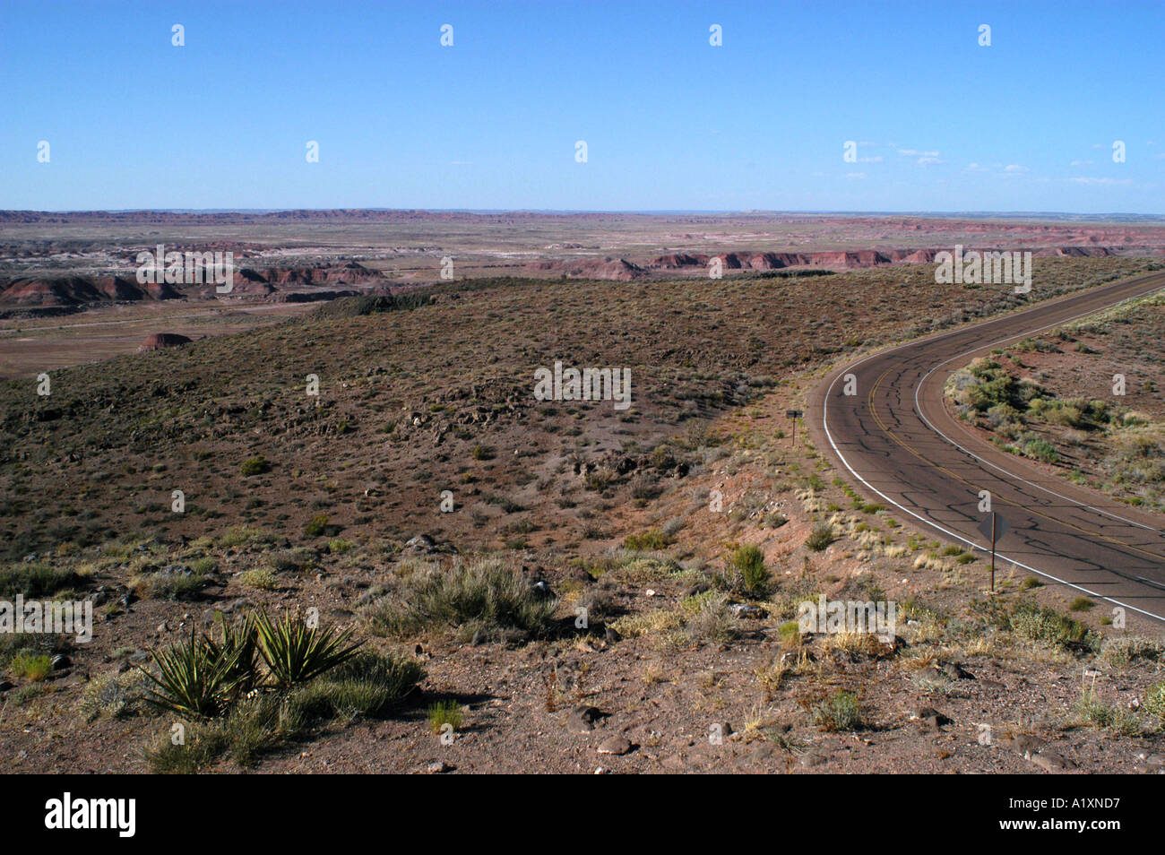 Strada nel Deserto Dipinto area parco nazionale della Foresta Pietrificata Foto Stock
