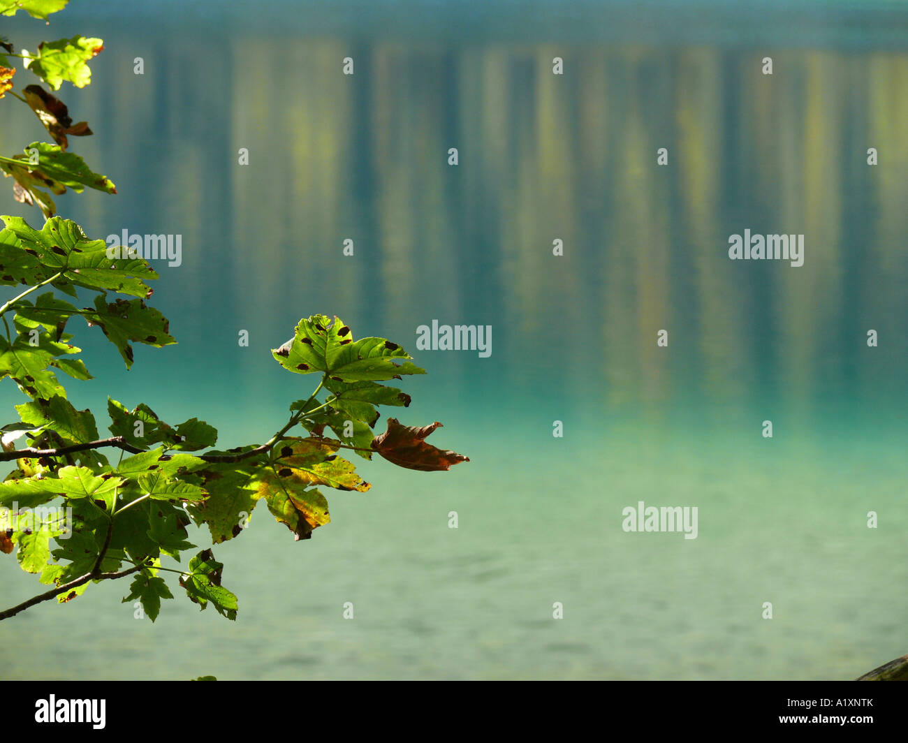 La riflessione nel lago Foto Stock