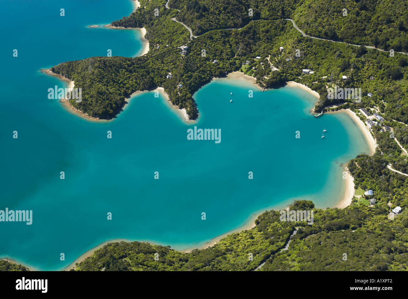 Te Mahia Bay Kenepuru Sound Marlborough Sounds Isola del Sud della Nuova Zelanda antenna Foto Stock
