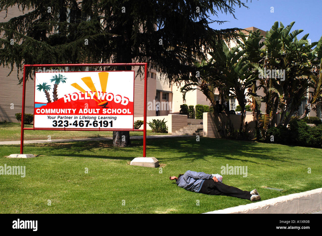 Senzatetto uomo addormentato sull'erba al di fuori della Comunità di Hollywood Scuola Adulti su Sunset Boulevard Hollywood sul marciapiede Foto Stock