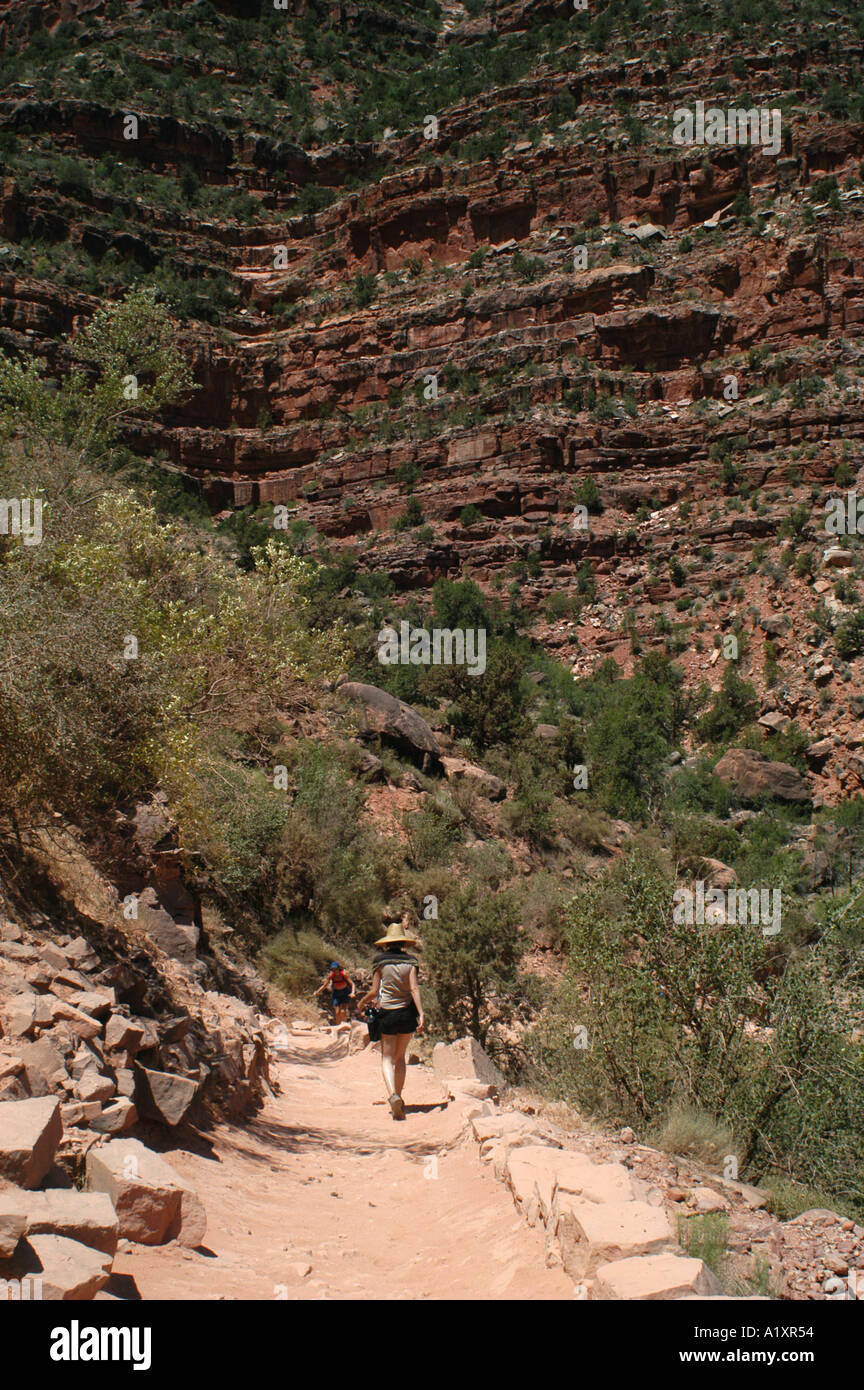 I turisti escursione fino il Bright Angel Trail il più famoso sentiero escursionistico dal bordo Sud del Grand Canyon Foto Stock