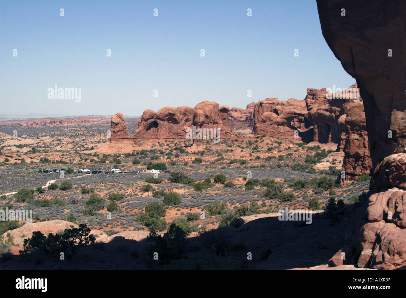 Sfilata di Elefanti a Arches National Monument, Moab, Utah, Stati Uniti d'America Foto Stock