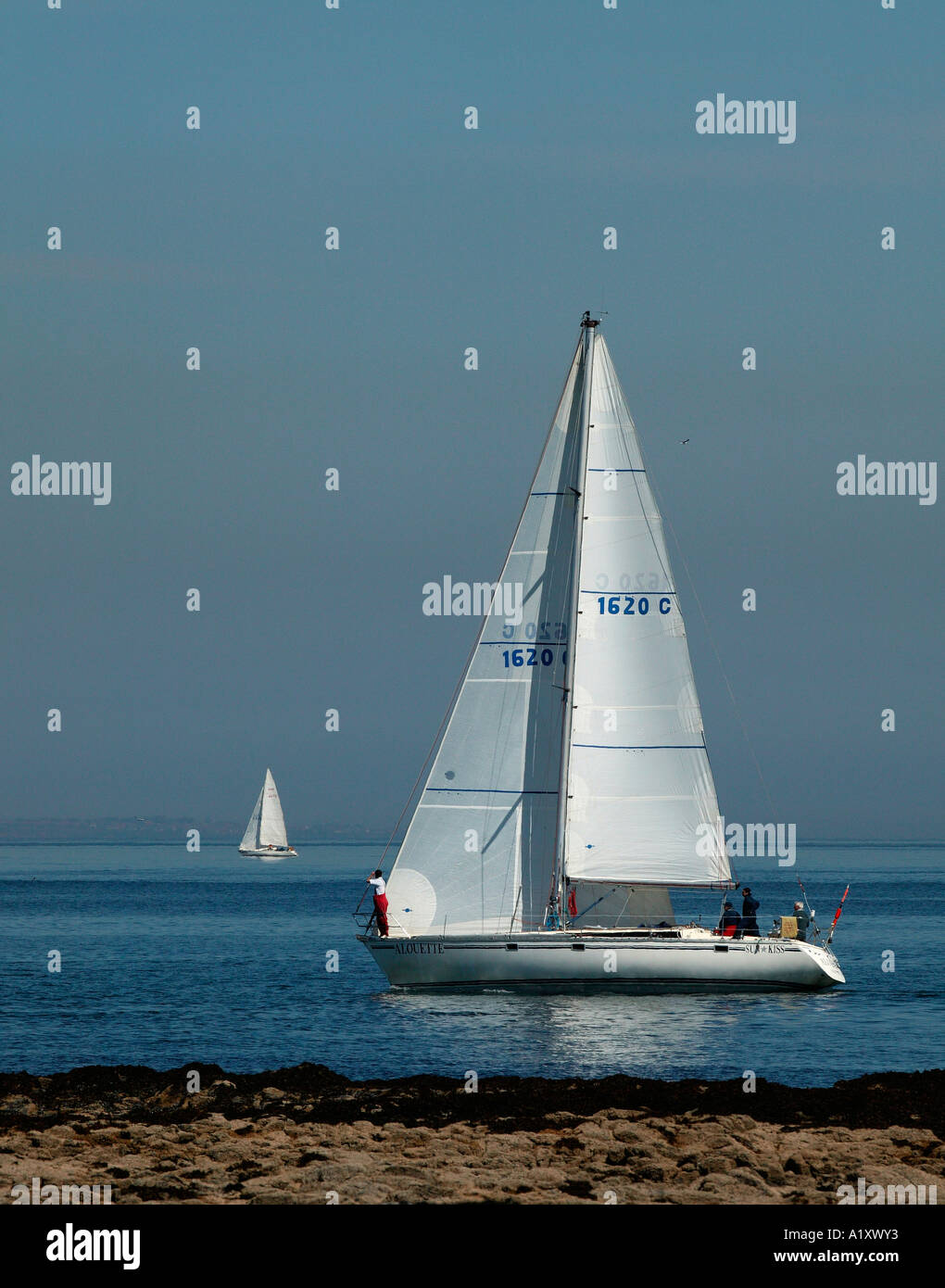 Barche a vela in Forth Estuary, a North Berwick, Scozia, Regno Unito G B, Europa Foto Stock