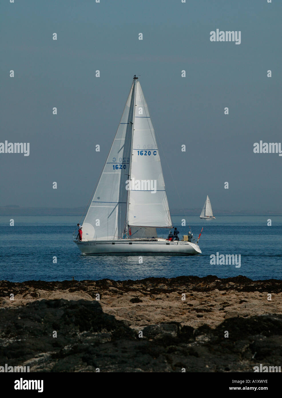 Barche a vela in Forth Estuary, a North Berwick, Scozia, Regno Unito G B, Europa Foto Stock