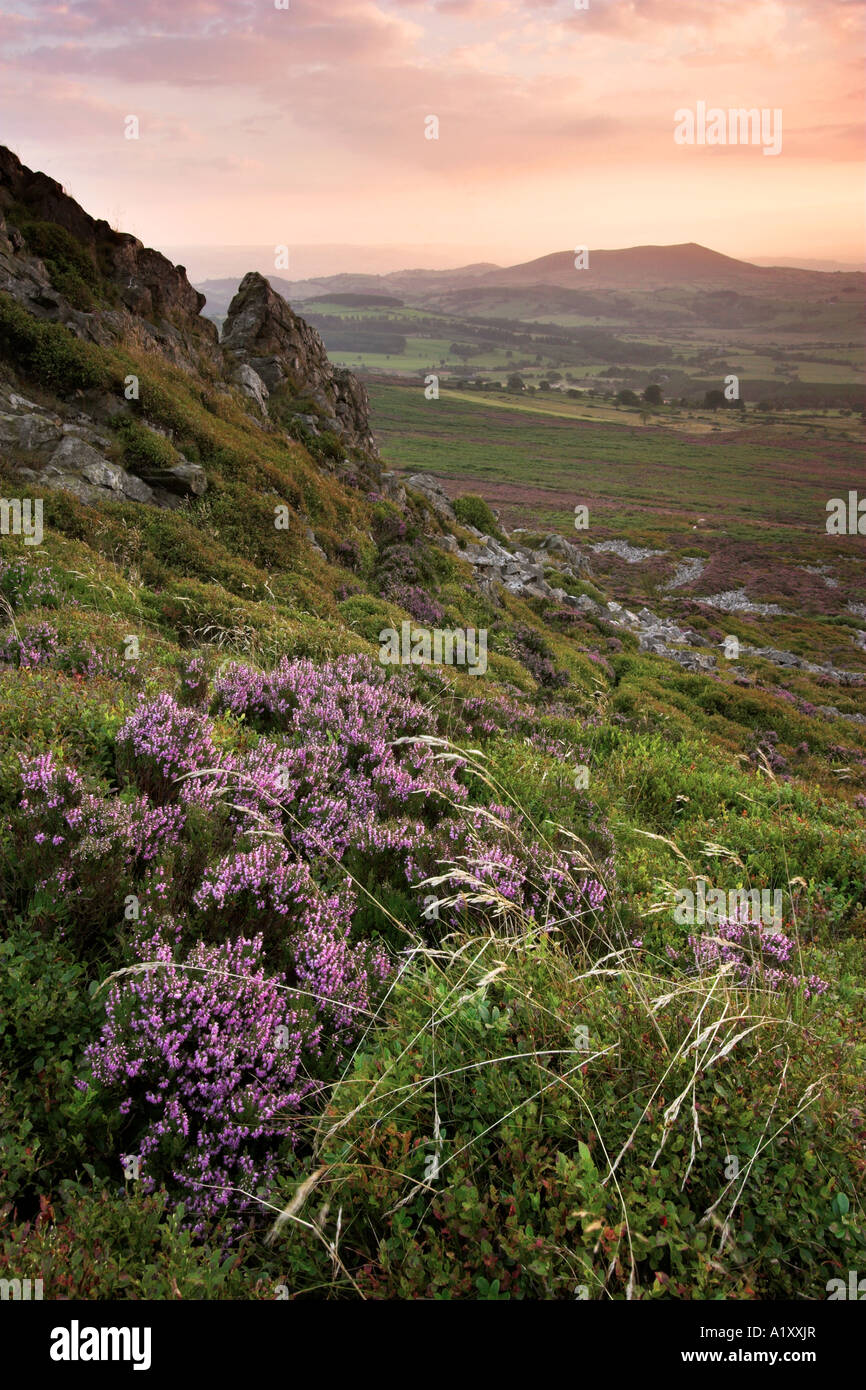 Rosa spettacolare tramonto su Shropshire, visto dal Stiperstones Foto Stock