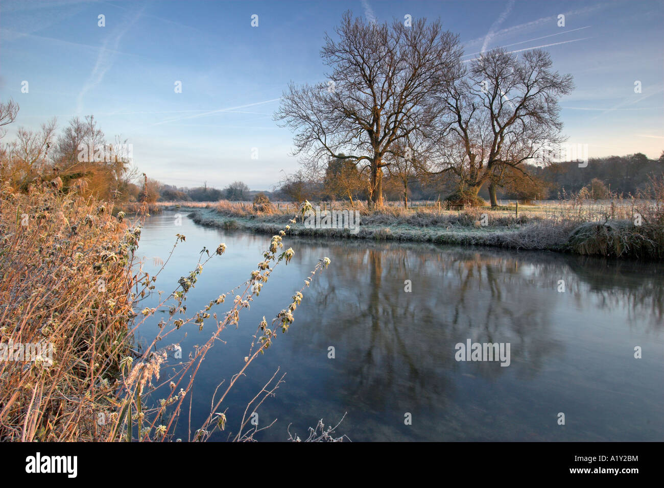 Gelido inverno mattina accanto al fiume Itchen, Winchester, Hampshire, Inghilterra Foto Stock